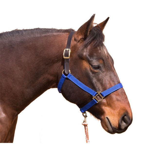 Intrepid International 123049 Poly Breakaway Horse Halter Yearling - Purple