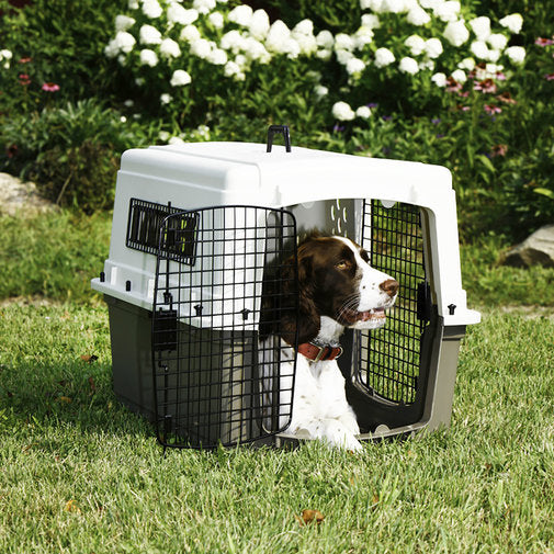 Miller Manufacturing 405073156 157315 26 x 24 x 37 in. Large Plastic Pet Crate