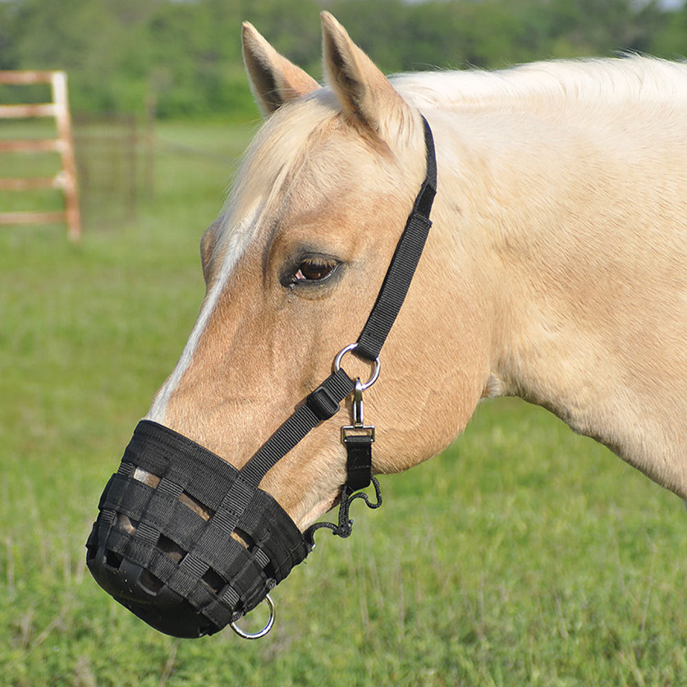 Cashel Company GMH Grazing Muzzle Halter Black Pony