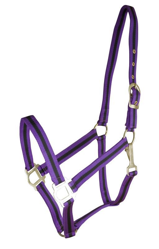 Gatsby 2-Tone Nylon Halter/Snap Cob Purple/Black