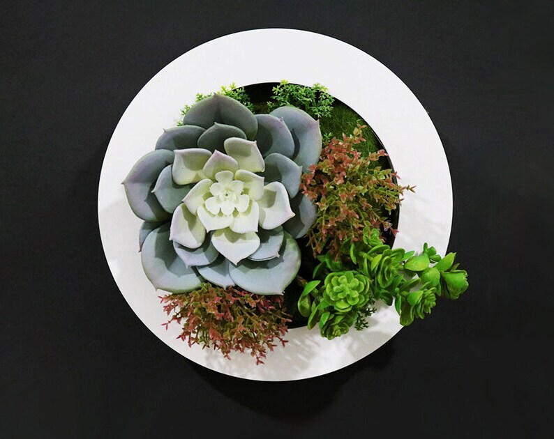 Unique Realistic 3D Rustic Faux Artificial Succulents Wall Art Handmad