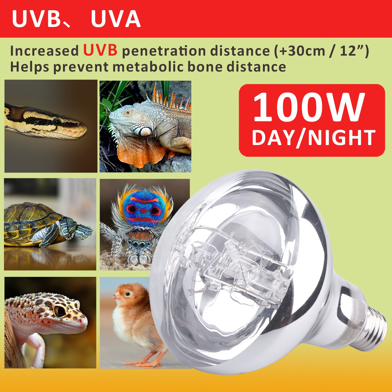 AIICIOO Reptile Heating Lamp UVA UVB Mercury Vapor Bulb Aquarium Bulb for Reptiles and Amphibians 100W