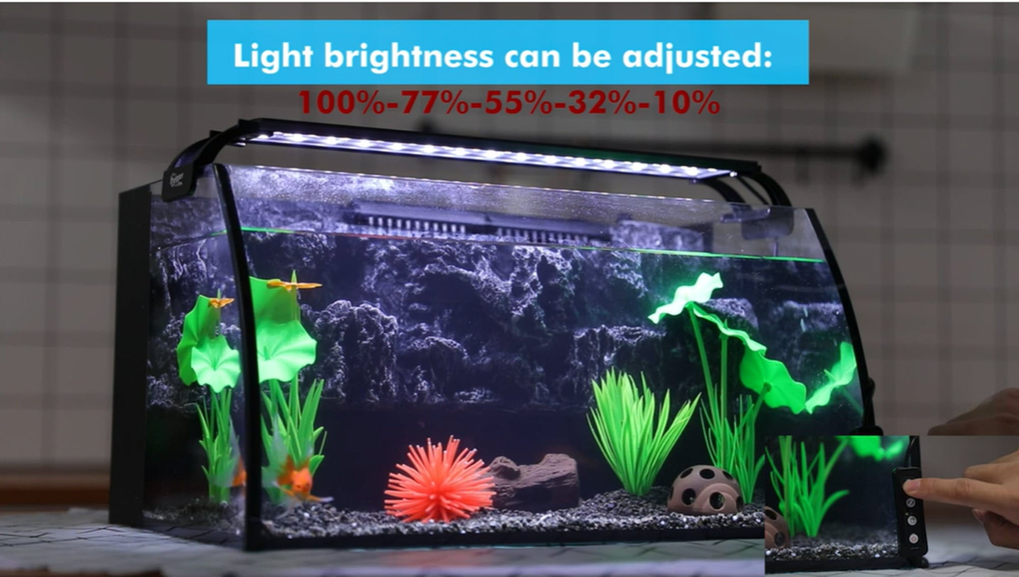 Maze Group 14W Full Spectrum Aquarium Light with Aluminum Alloy Shell Extendable Brackets， White Blue Red LEDs， External Controller， for Freshwater Fish Tank (18-24 inch)