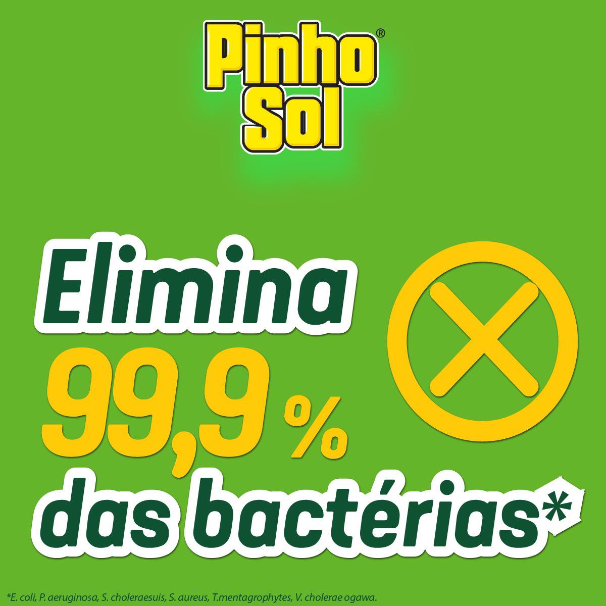 Desinfetante Pinho Sol Original 500ml