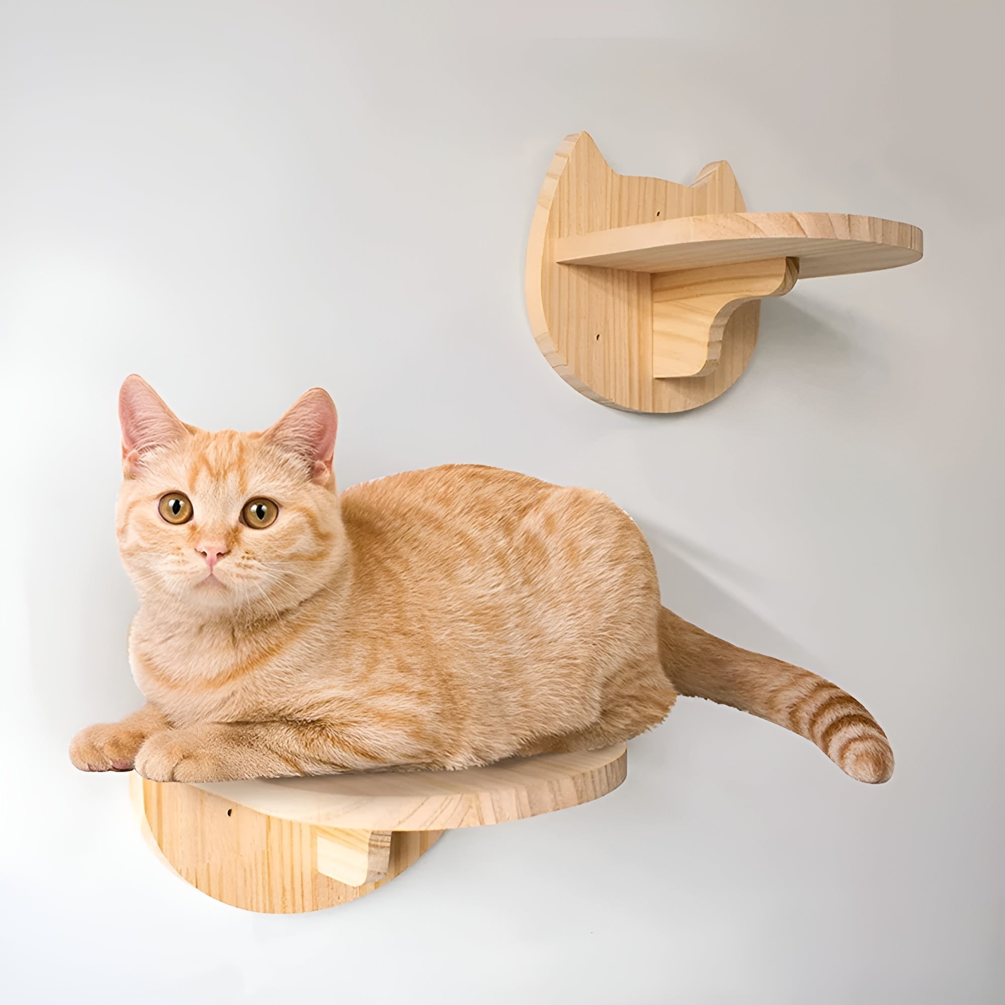 PurrMount Board | Wall-Mounted Cat Climbing Shelf with Scratching Post