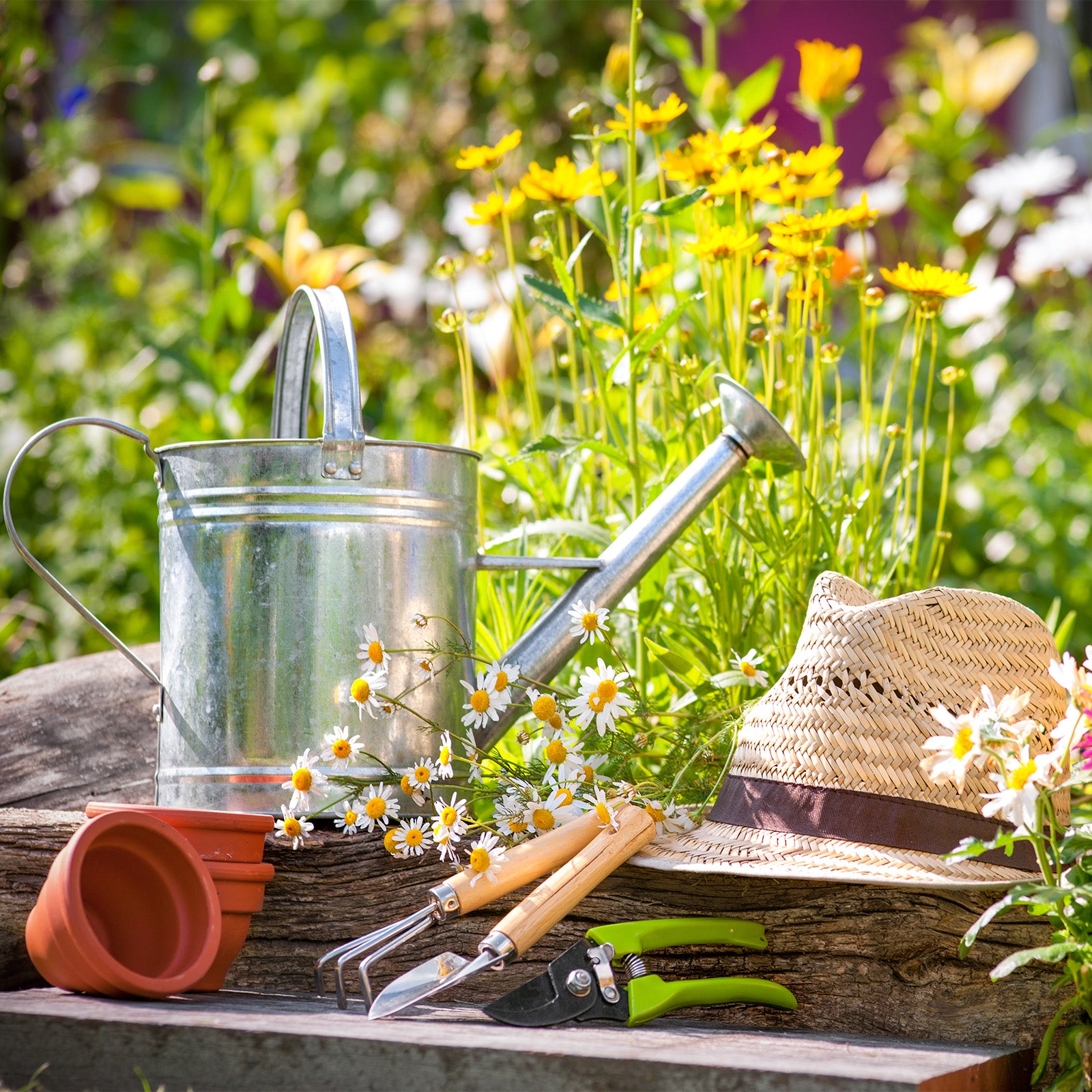 Uxcell 10.2" 3 Tines Hand Gardening Rake, Carbon Steel Thickened Hardened Loosening Soil Cultivator, Grey