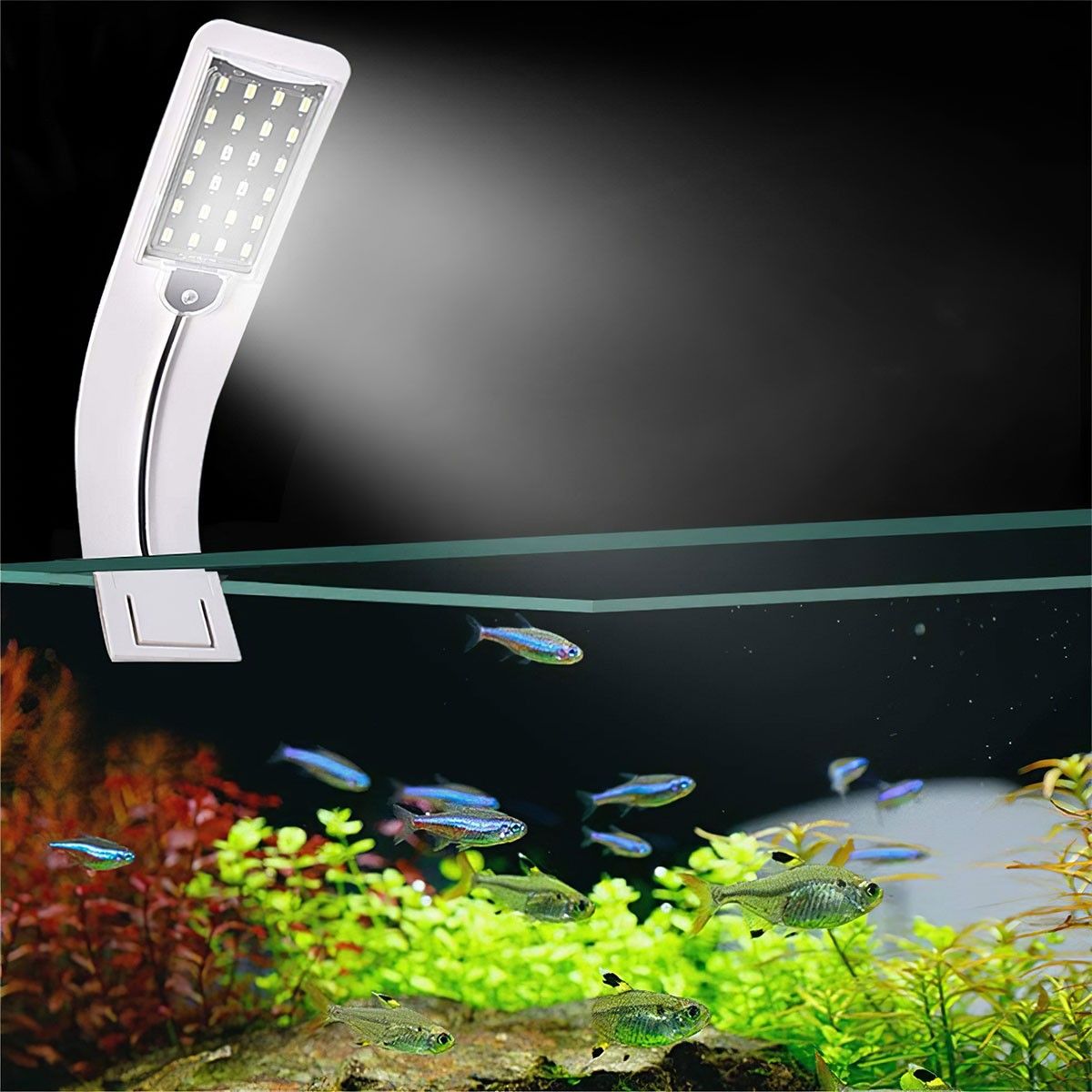 Gustave 10W Super Slim Aquarium LED Light Clip-on Lamp For Fish Tank， Aquatic Plant Lighting -White and Blue Light