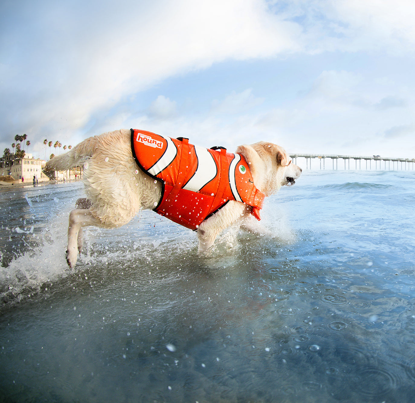Outward Hound PupSaver Fun Fish Ripstop Dog Life Jacket， Extra-Small， Orange