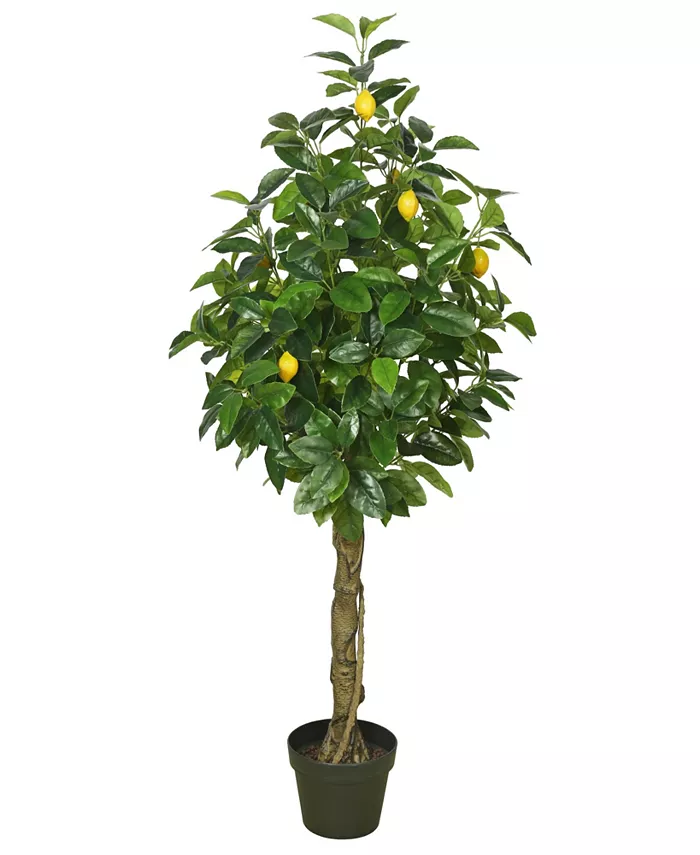 Vickerman 51