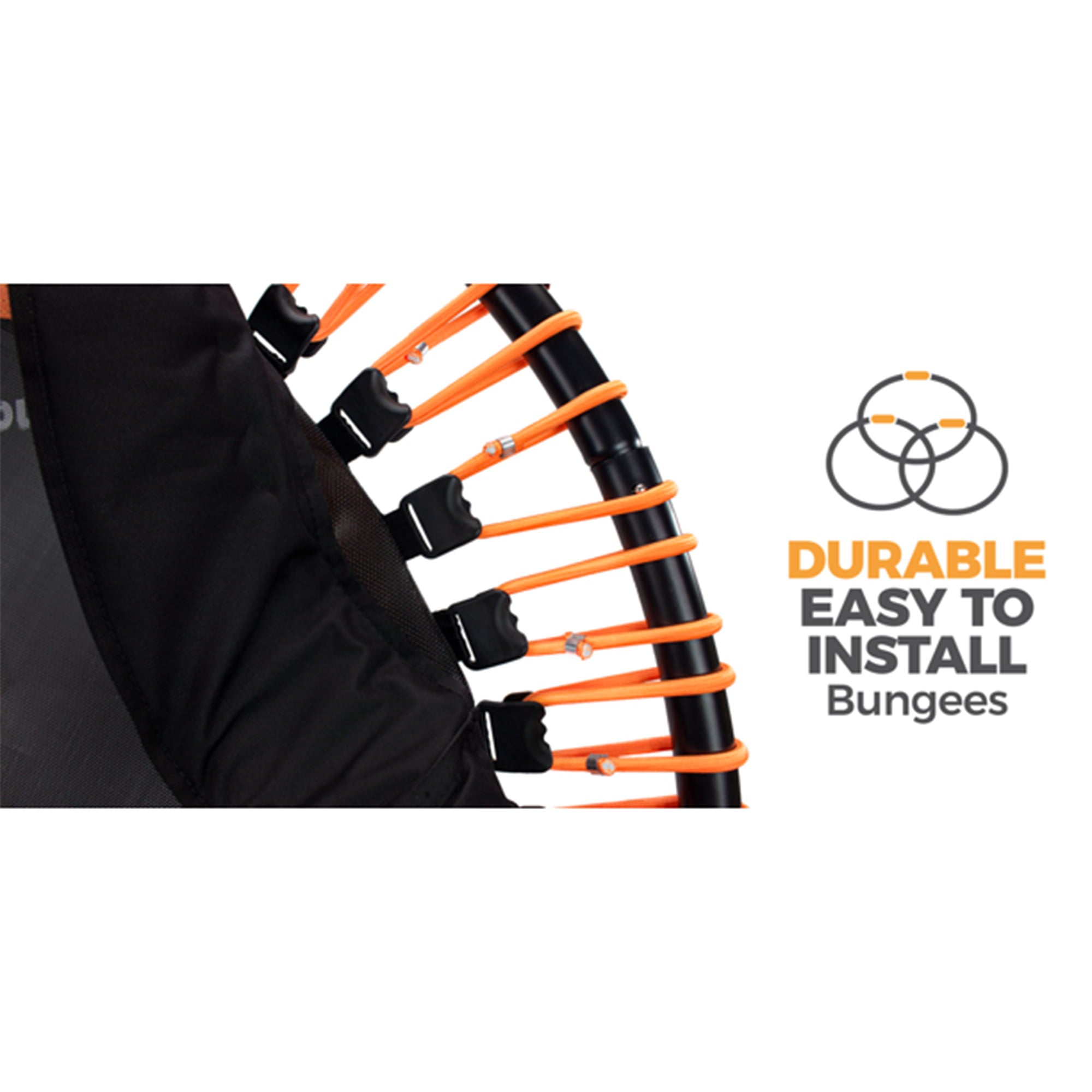 LEAPS and REBOUNDS 40