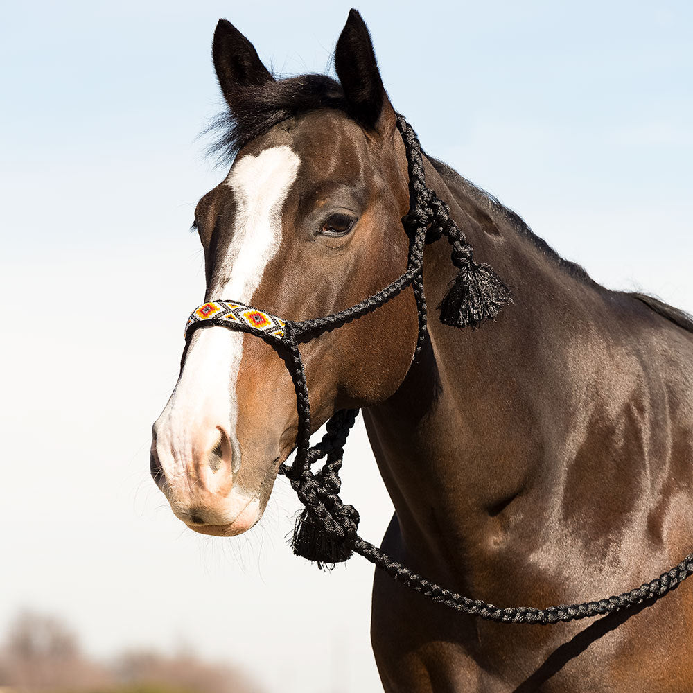 Professional`S Choice  Cowboy Braided Black Halter and Lead