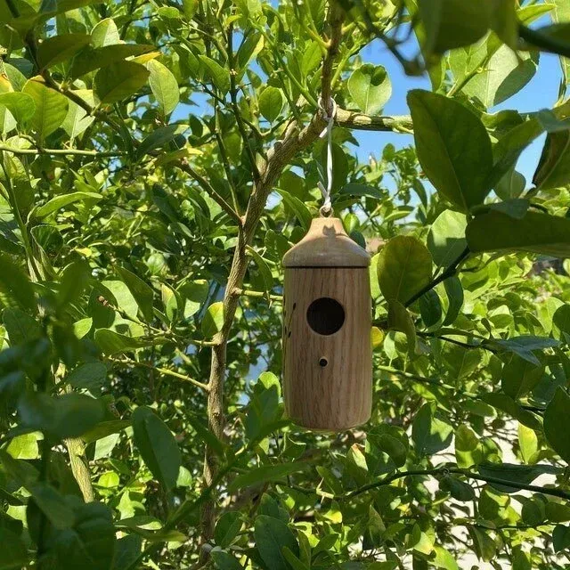 Sale 47% OFF💕Wooden Hummingbird House-Gift for Nature Lovers🔥�