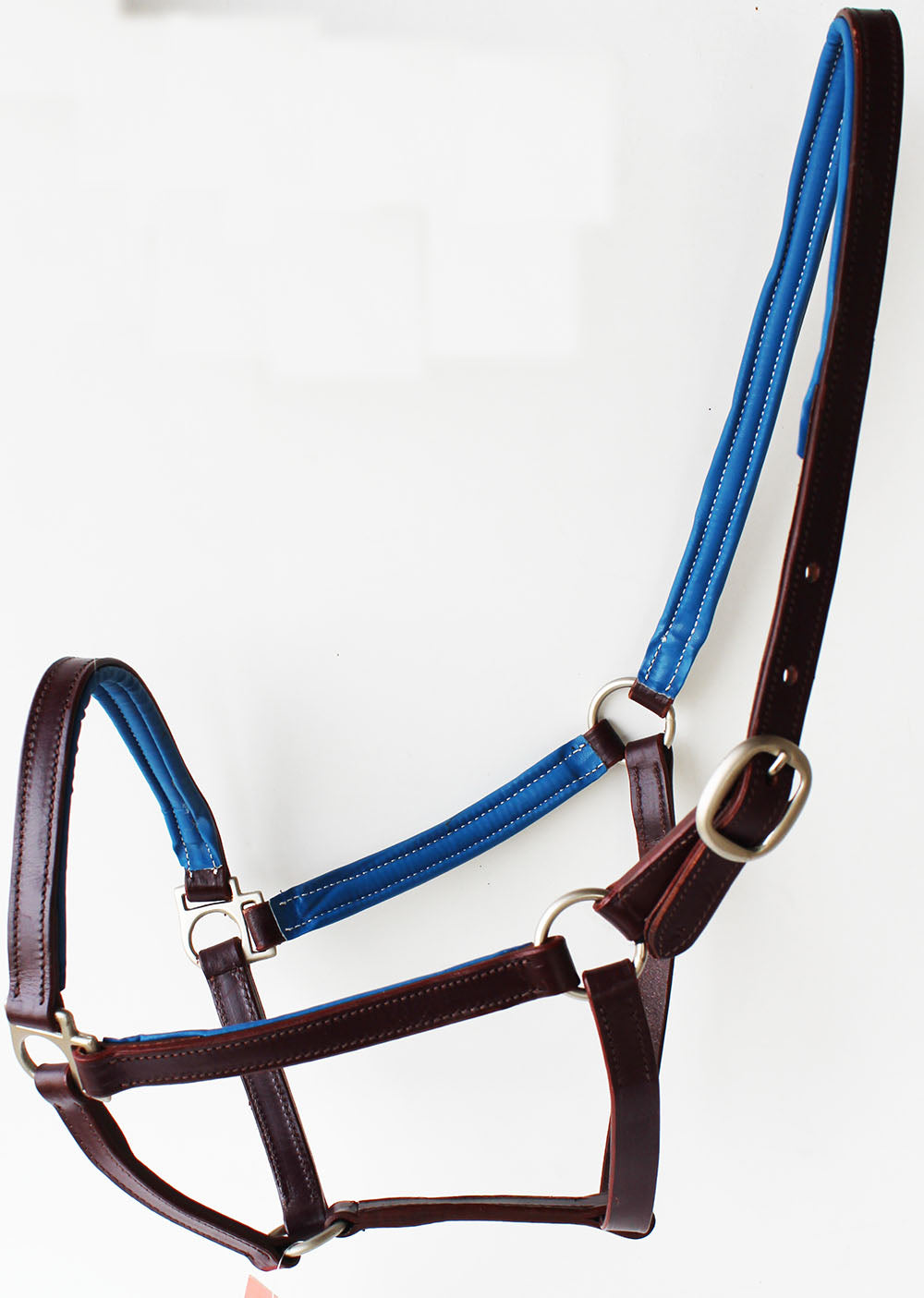 Horse English Padded Leather  PONY Western  Show Halter Blue 803H209BLP