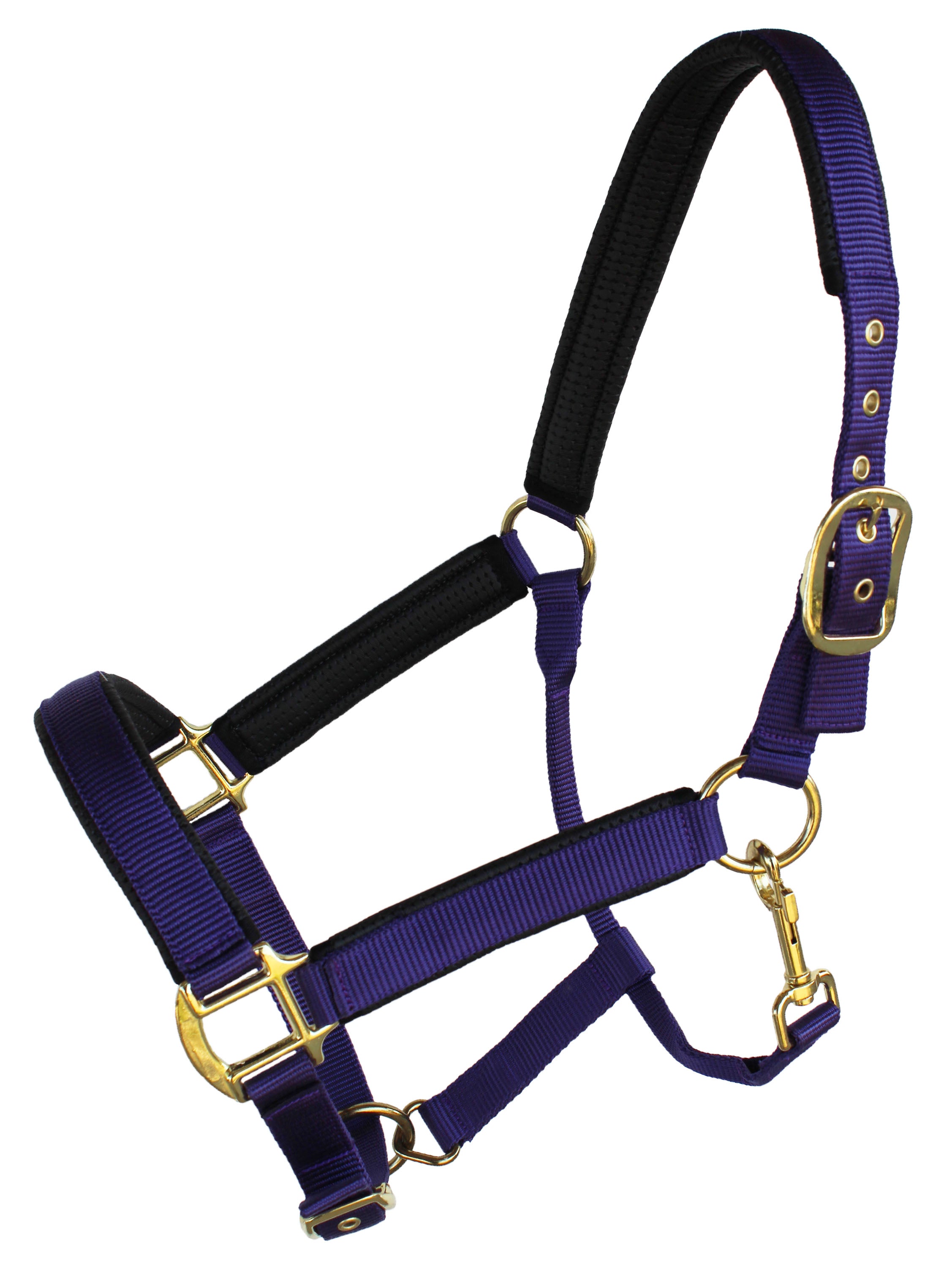 Horse Neoprene Padded Nylon Adjustable Halter Brass Hardware 606173PR