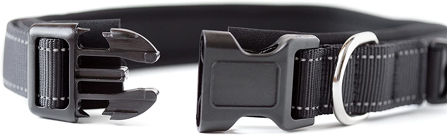 Mighty Paw Neoprene Padded Dog Collar， Sports Collar with Reflective Stitching， Extra Comfort for Active Dogs
