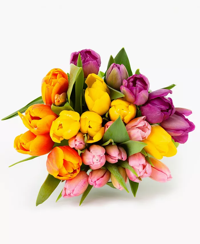 BloomsyBox A Tulip For Everyone Fresh Flower Bouquet