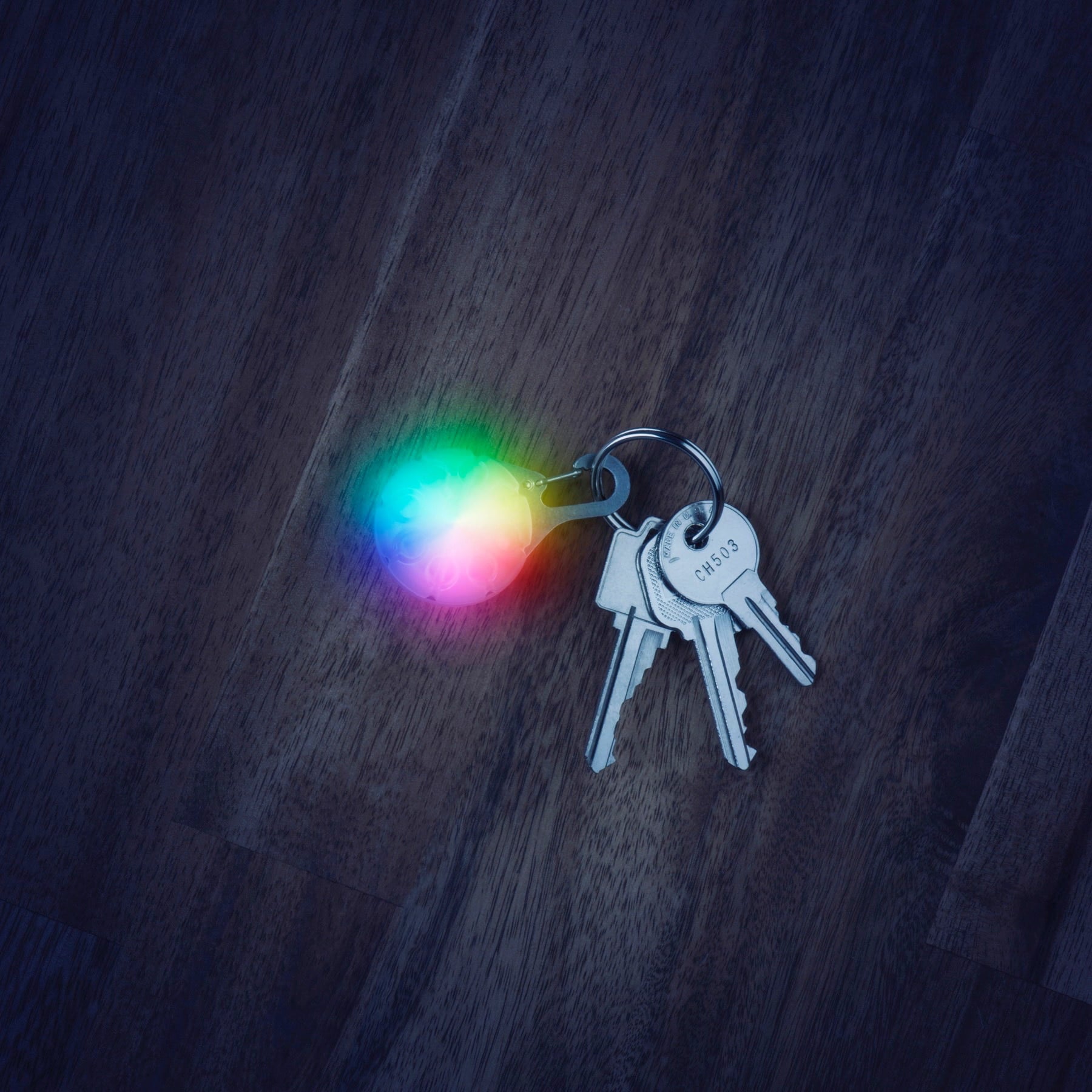 Nite Ize SpotLit LED Dog Collar Light Attachment， High Visibility