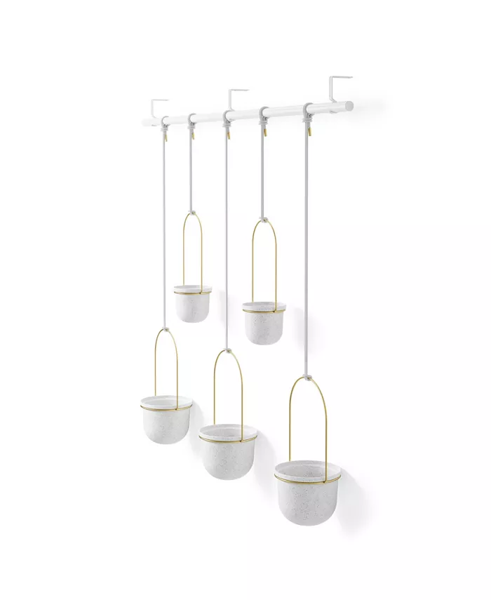 Umbra DNUTriflora Hanging Planter， Set of 5
