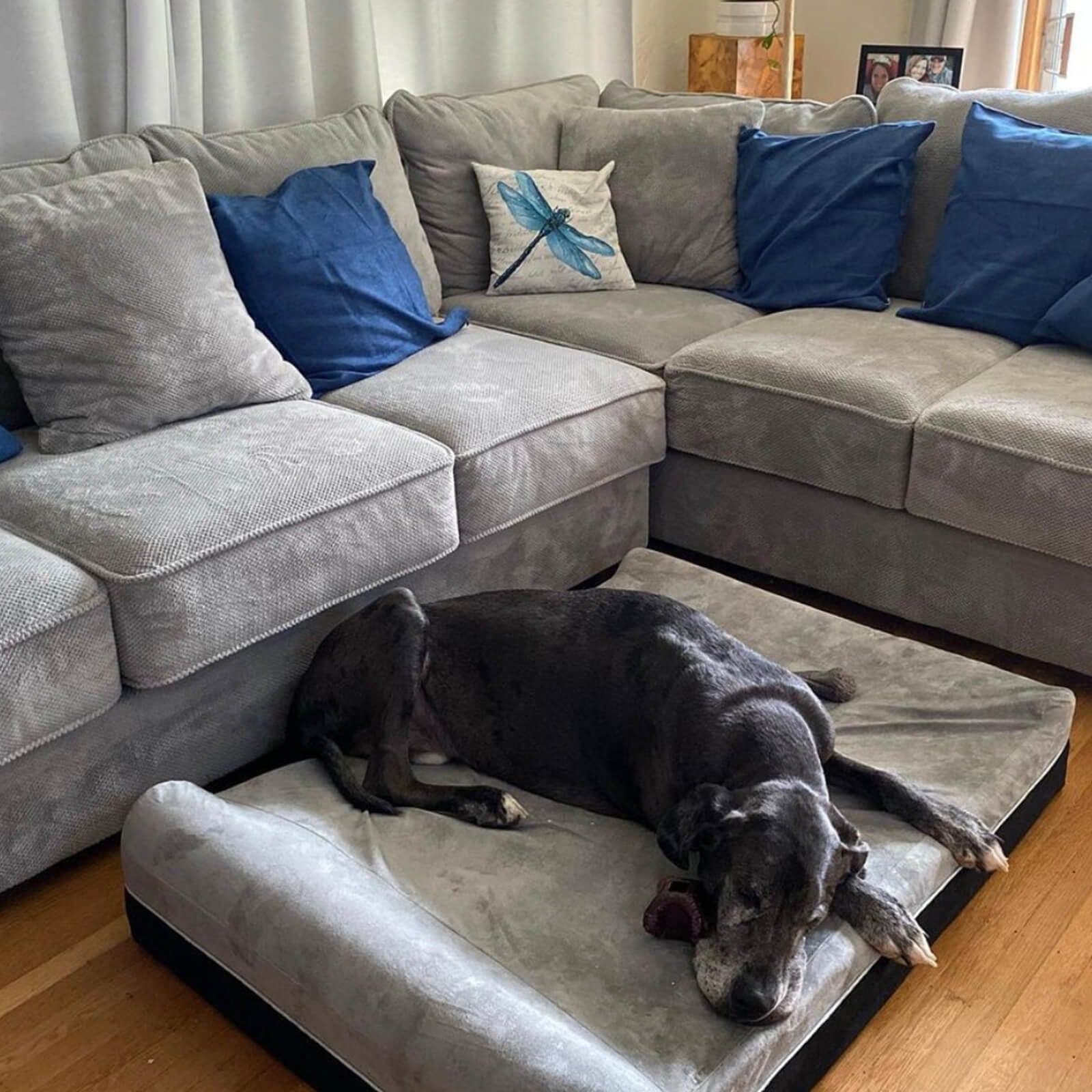 Laifug Orthopedic Memory Foam Extra Large Dog Bed with Double Pillows and Durable Waterproof Liner and Removable Washable Cover