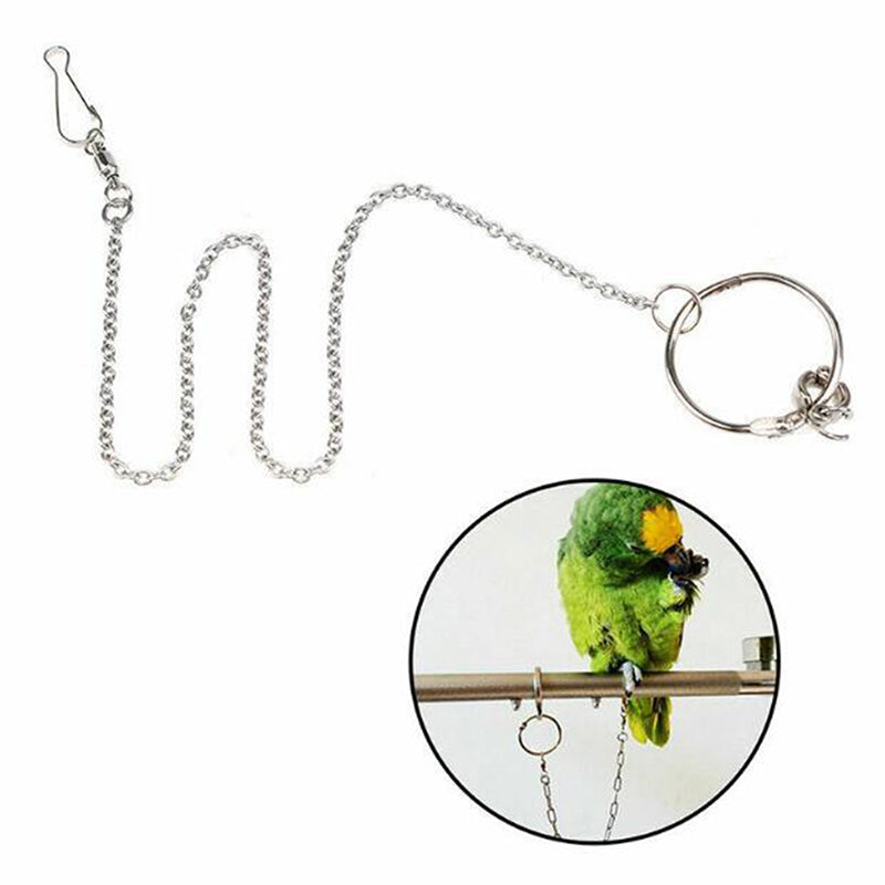 Parrot Leg Ring Ankle Foot Chain Bird Outdoor Flying Training Activity Stand
