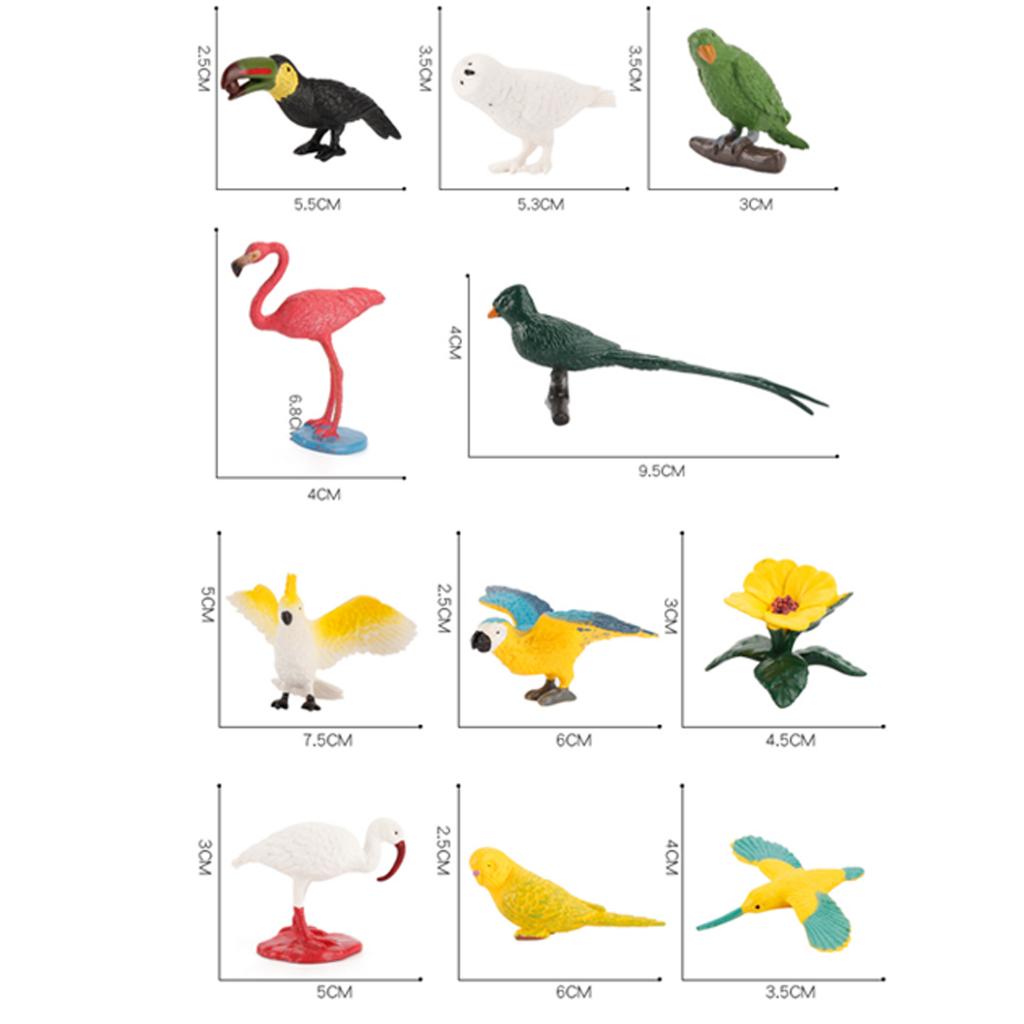 10pcs Toy Toys Toy Birds For Kids