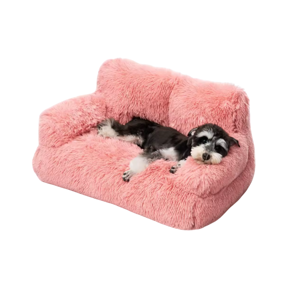 Elevated Pet Sofa Bed | Washable Plush Bed for Small Dogs & Cats