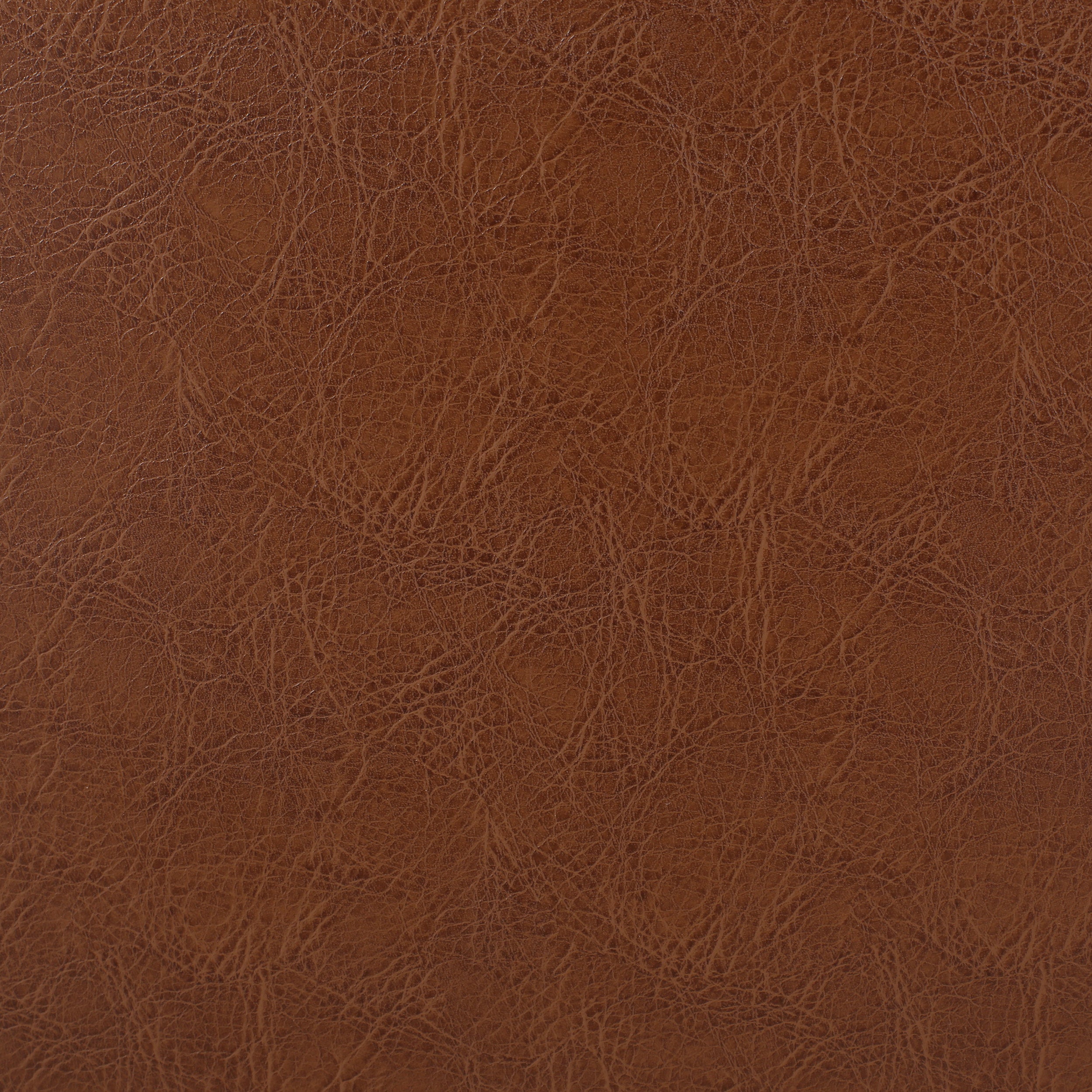 Trask Contemporary Leather Tufted Loveseat with Nailhead Trim