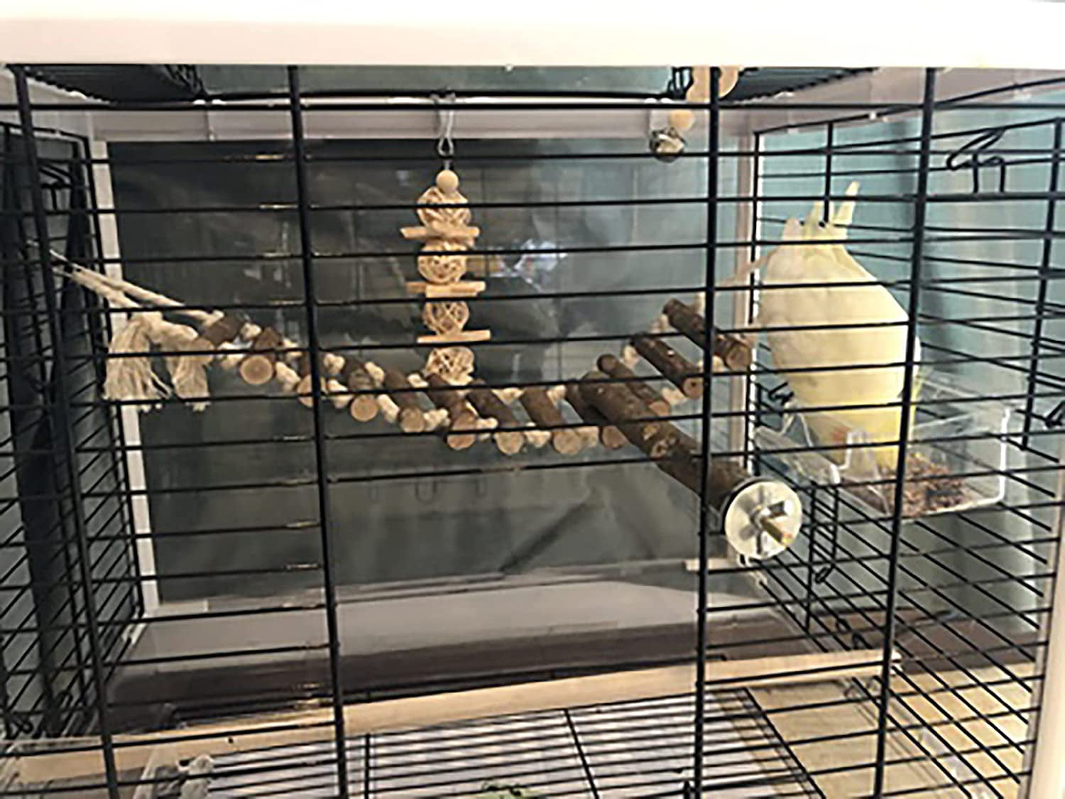 Bird Toys 8 Pack Parakeet Toys for Parakeets Cage， Bird Swing Chewing Toys， Bird Toys for Parrots， Bird Training Toys， Parrot Hanging Swing