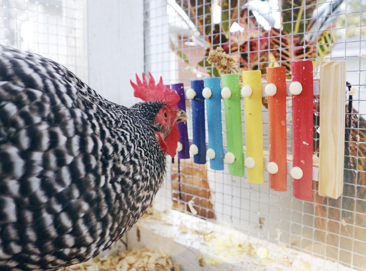 Vehomy Chicken Xylophone Toy for Hens Wood Xylophone Toy with 8 Metal Keys Chicken Coop Pecking Toy Chicken Coop Pecking Toy