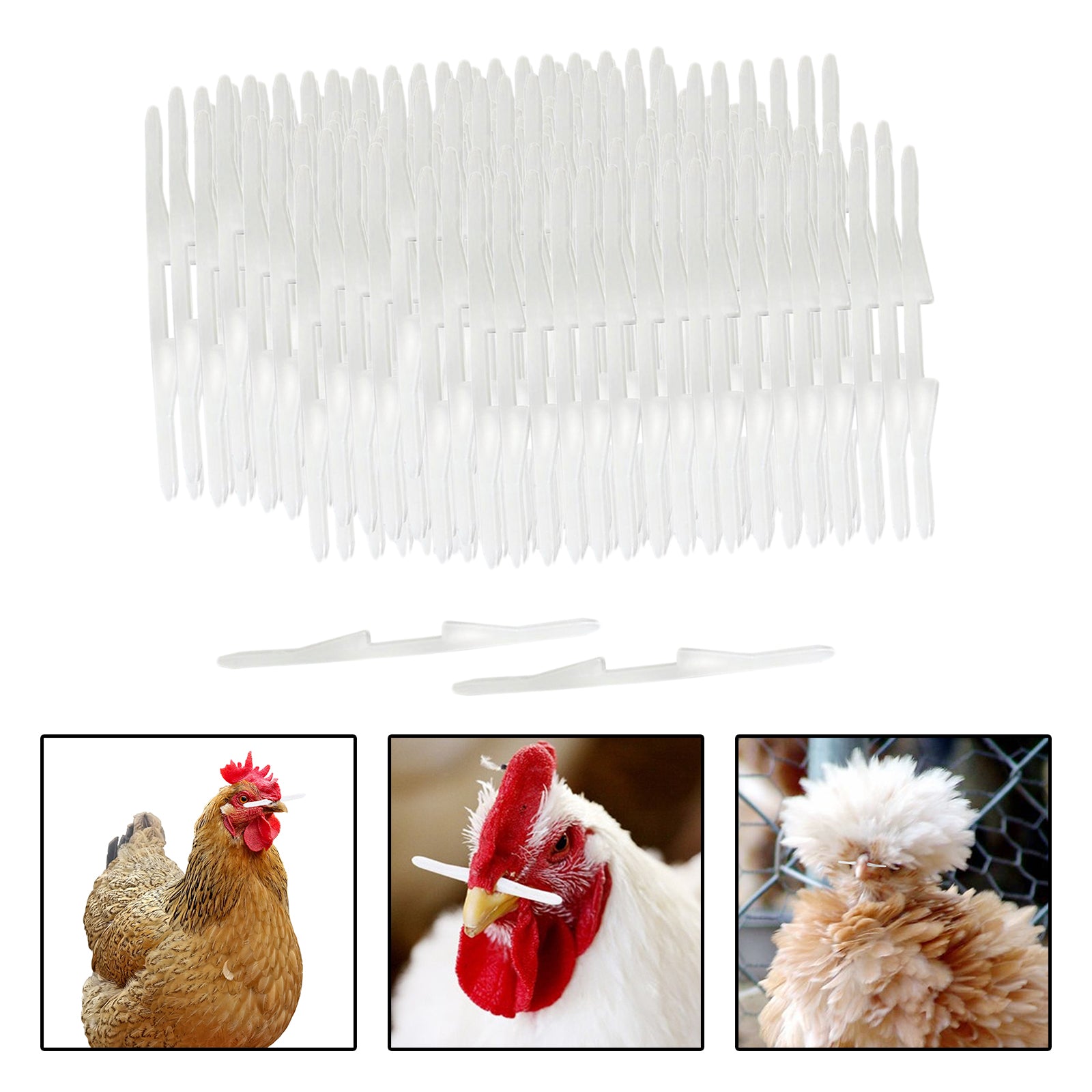Chicken Nose Poultry Supplies Equipments Poultry Feeder Poultry Management Hen feed Striking Stick 1000pcs for Poultry Farming