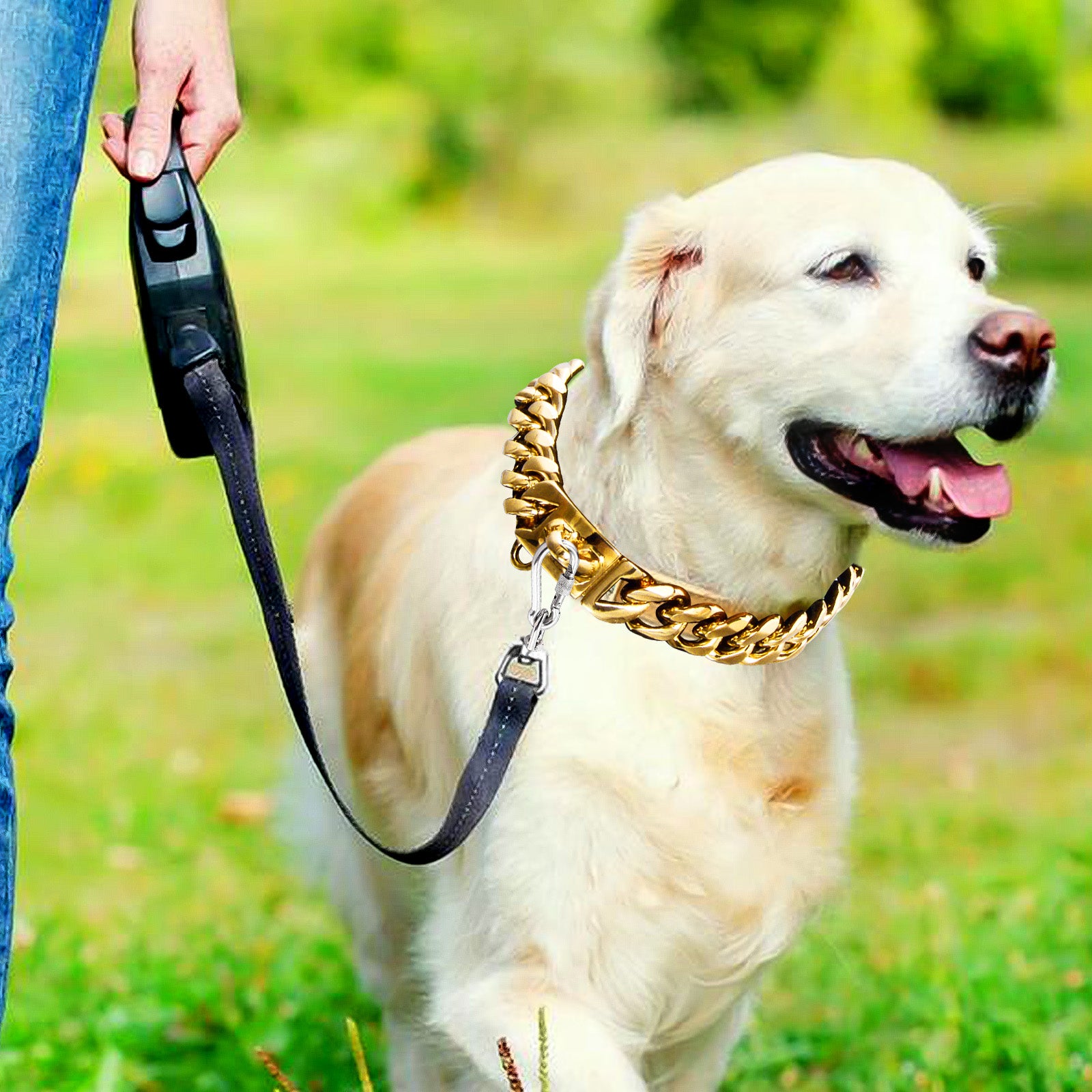 20'' Pet Chain Collar， TSV Stainless Steel Gold Pet Dog Leash Chain Collar with Design Secure Snap Buckle， Heavy Duty Chew Proof Dog Metal Chain Necklace Collar for Pets Xmas Gifts