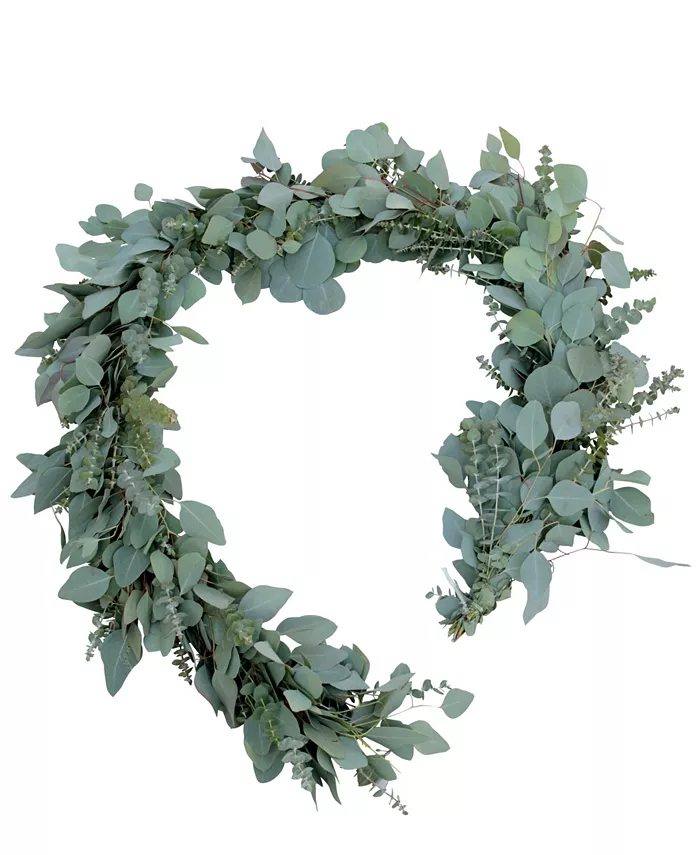 Magnolia Supply Co Fresh Baby Blue and Silver Dollar Eucalyptus Garland， 6'