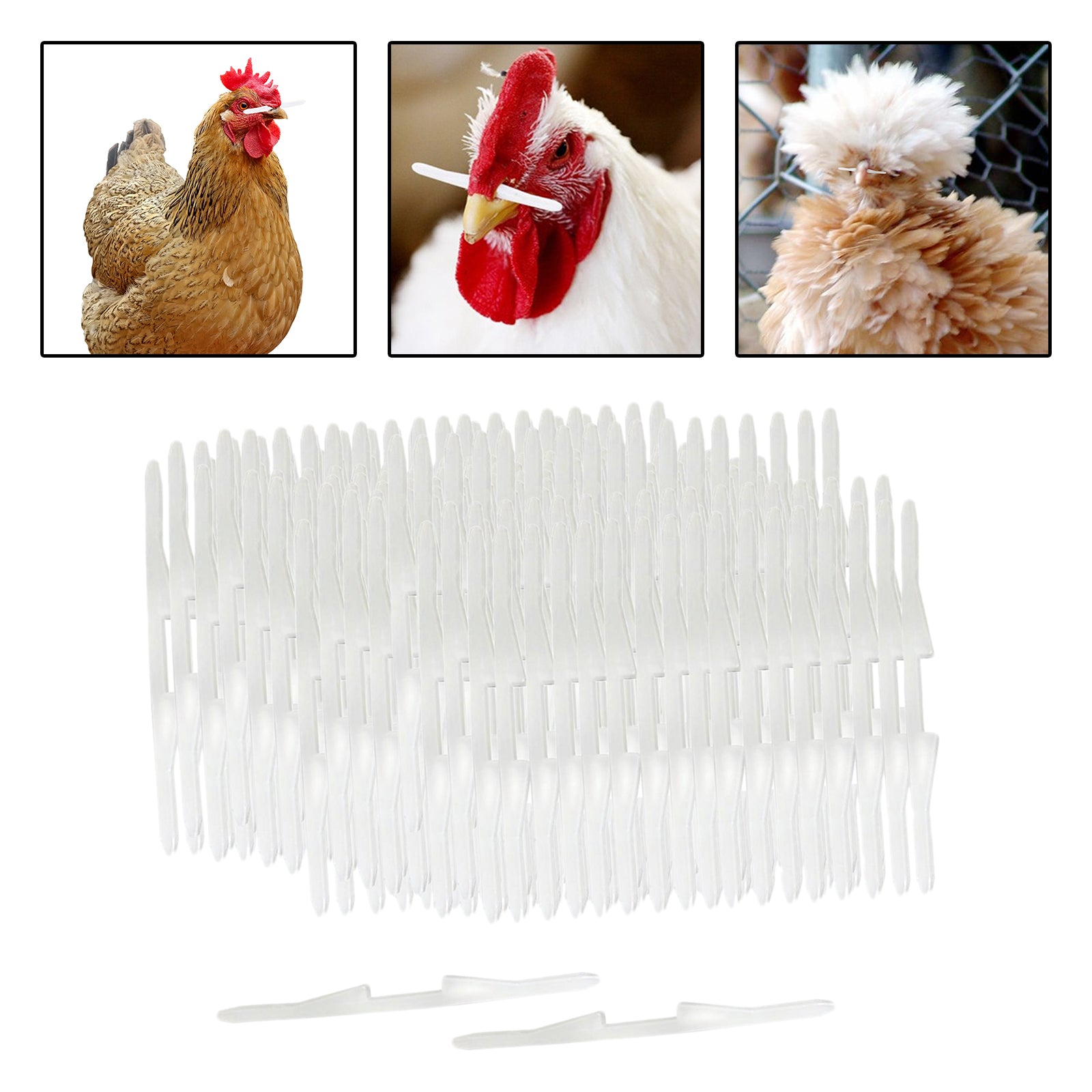 Chicken Nose Poultry Supplies Equipments Poultry Feeder Poultry Management Hen feed Striking Stick 1000pcs for Poultry Farming