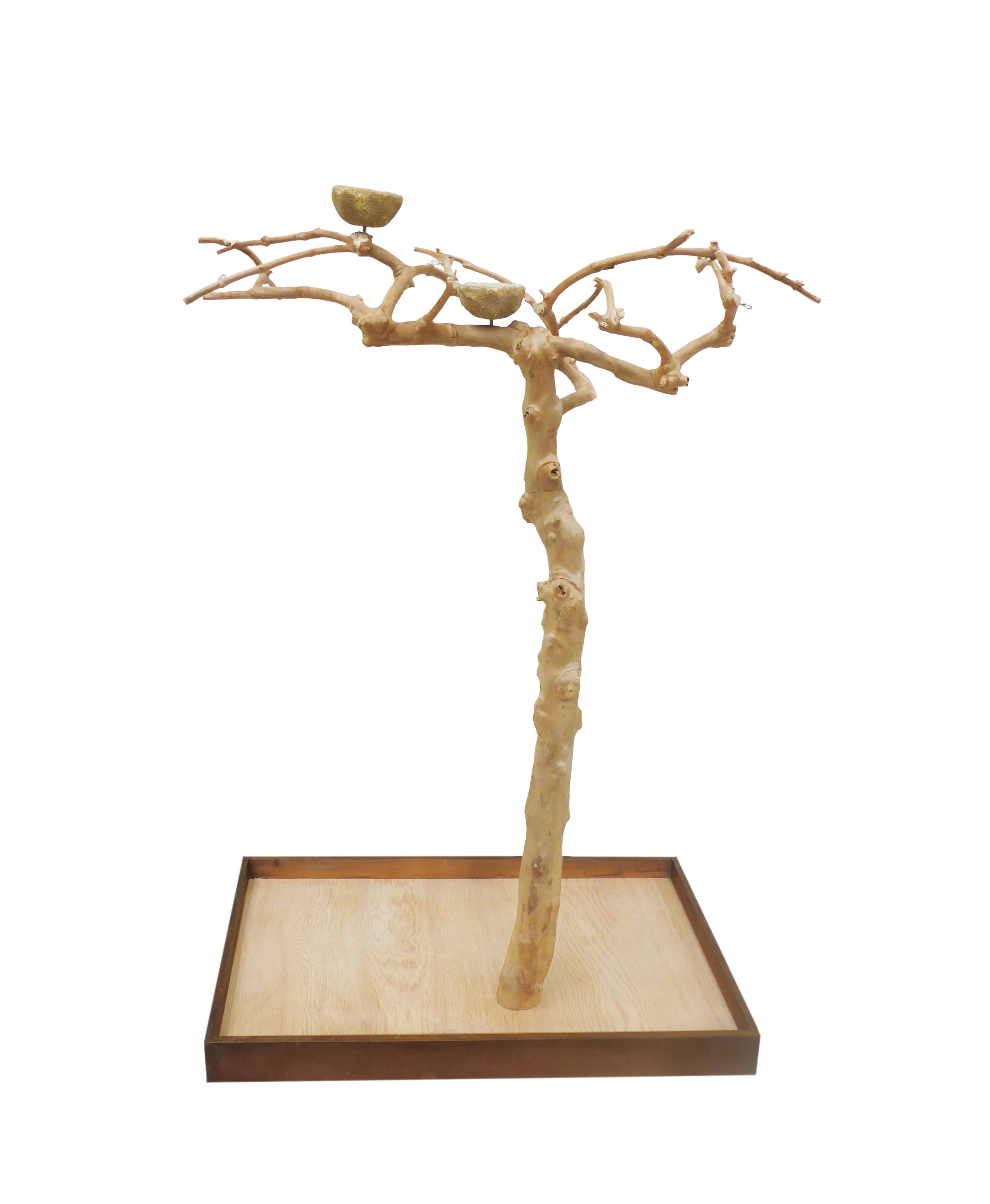 Prevue Pet Products Coffeawood Java Tree Small Floor Playstand Style #2 Model 22623