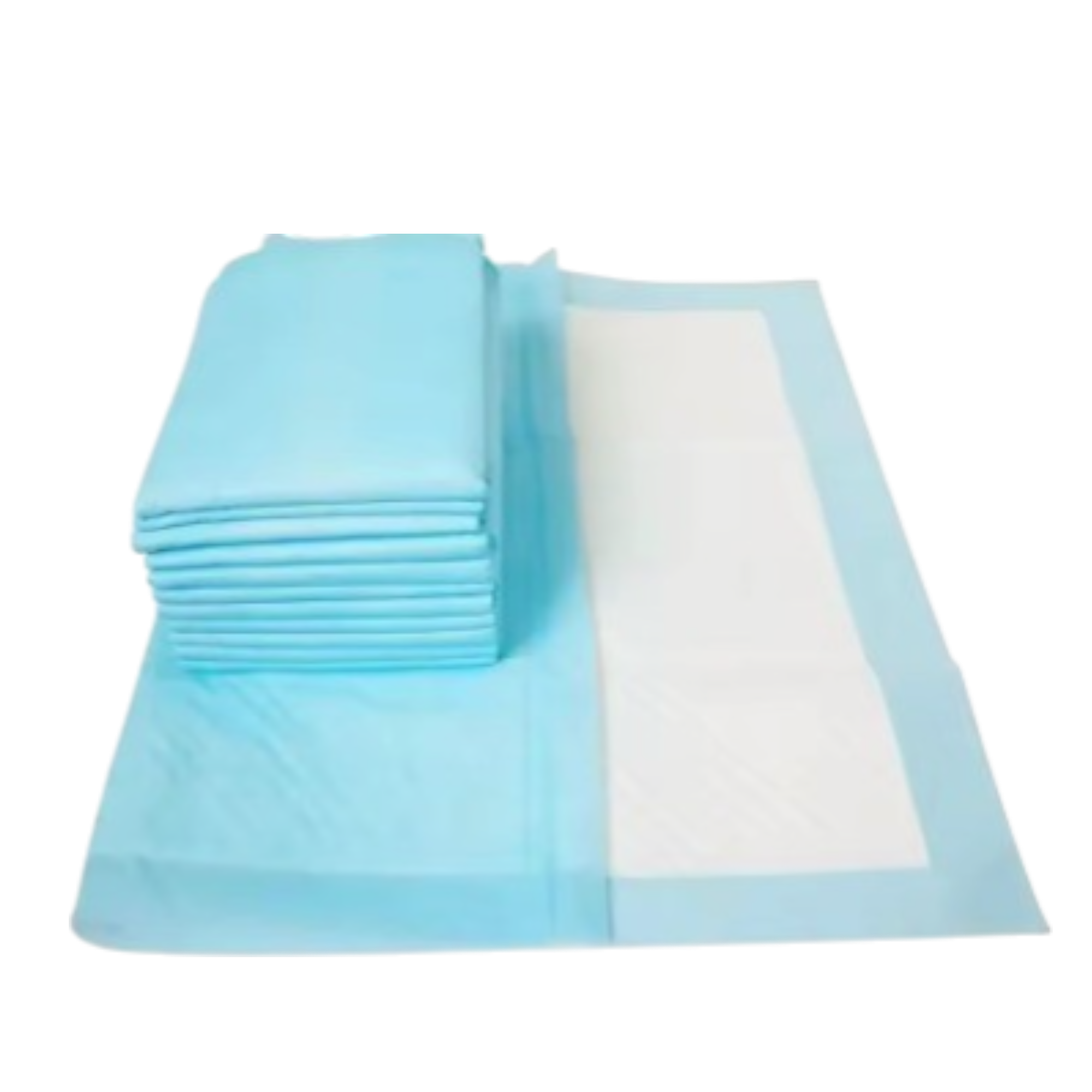 Puppy Training Pads | Leak-Proof Pet Pee Pads with Odor Control & Quick-Dry Surface