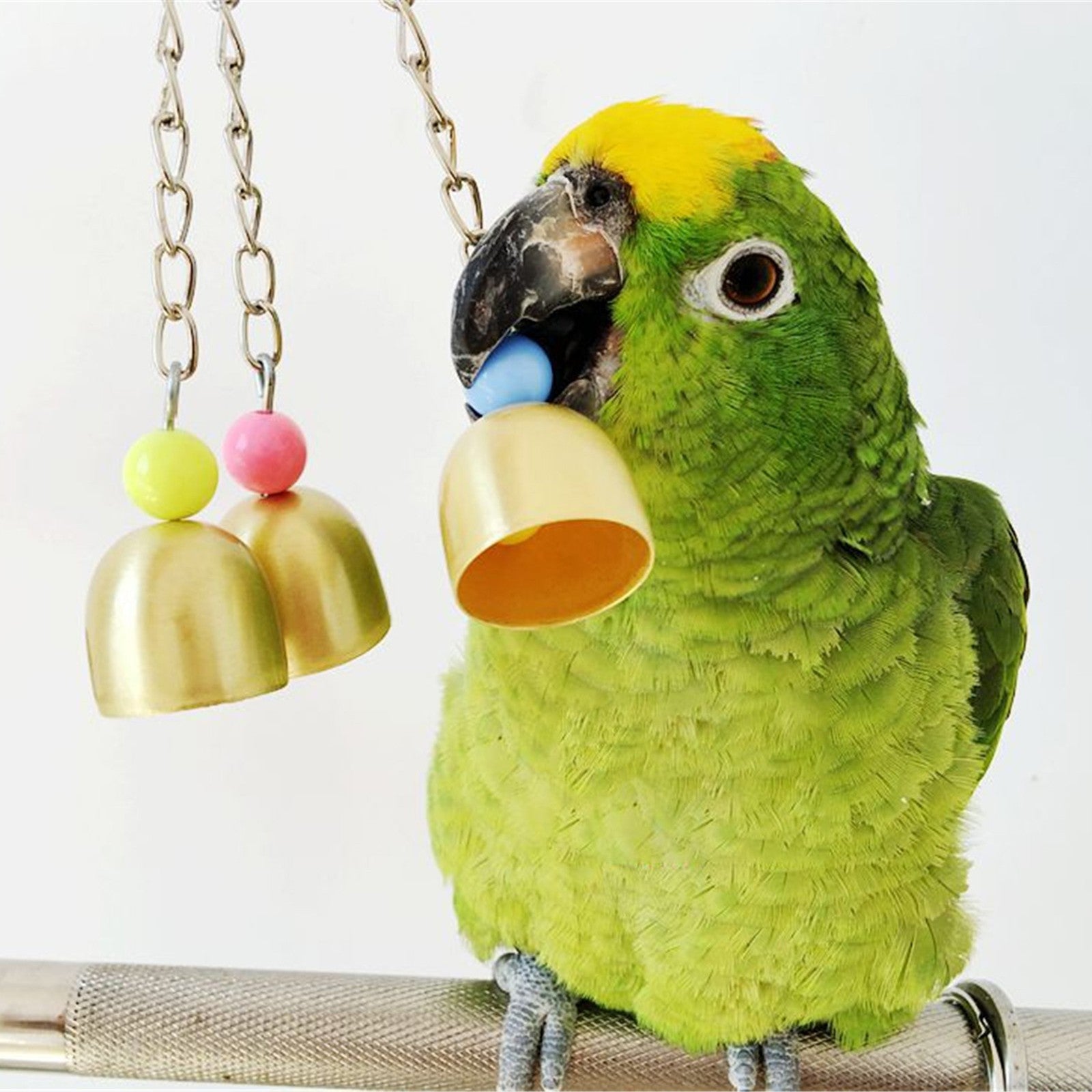 ociviesr Bird B^ite Pet Bells Toy Parrot African Greys Budgie Parakeet Cockatiel Parakeet Lovebird Cage Hanging Toy