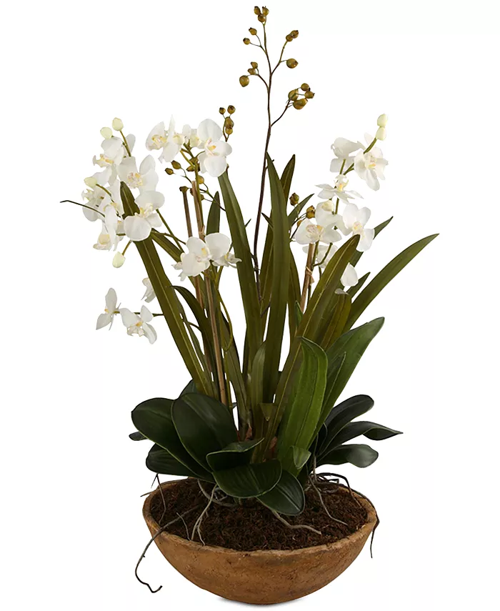 Uttermost Moth Orchid Planter
