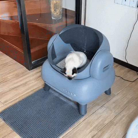 Automatic Cat Litter Box with Odor Removal & Smart App Control | Self-Cleaning Multi-Cat Robot