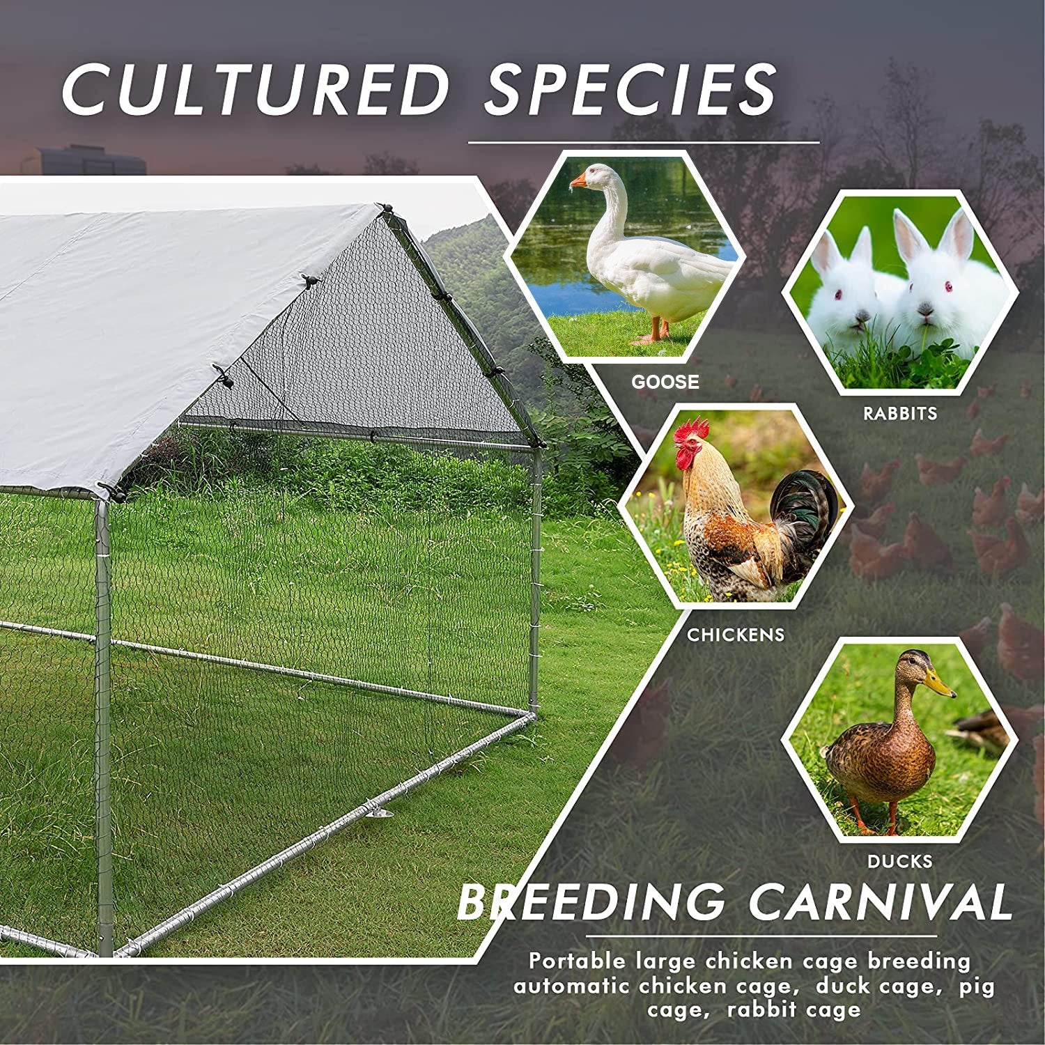 Holaki Large Metal Chicken Coop Hen Run House Flat Walk-in Cage 10x13x6.4 ft