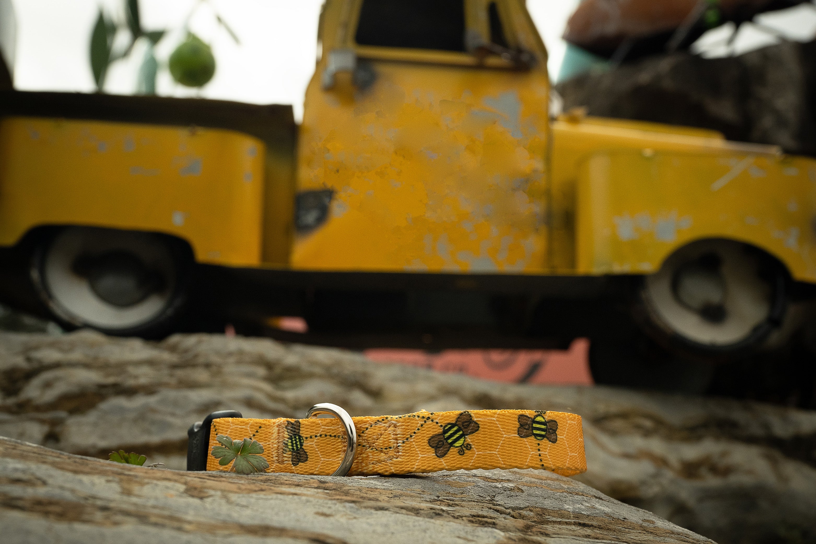 Country Brook Design® Deluxe Busy Bee Dog Collar - Made In The U.S.A.， Small