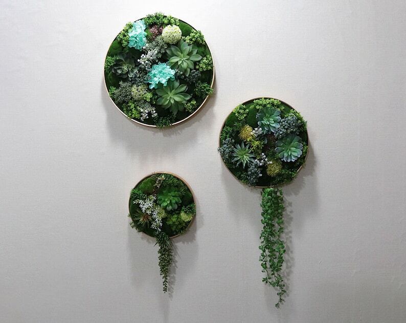 Unique Realistic 3D Rustic Faux Artificial Succulents Living Wall Art