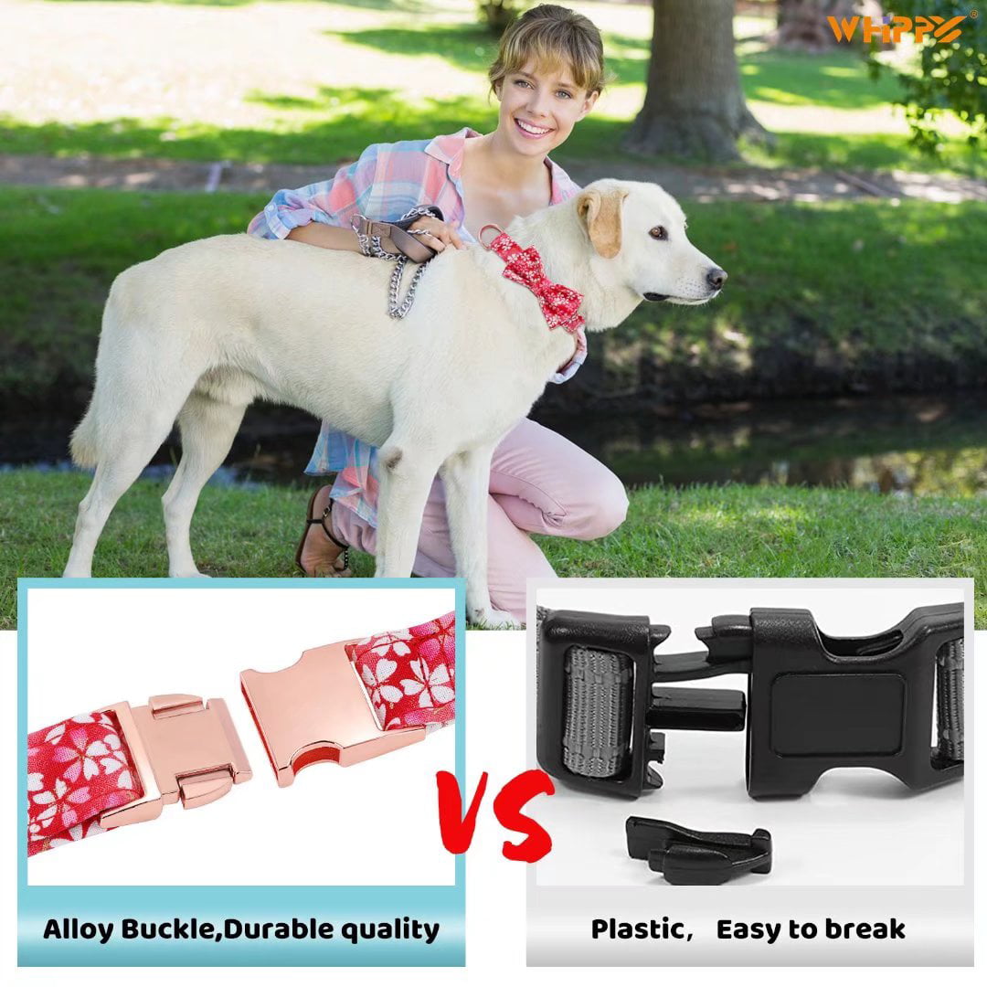 WHIPPY Dog Collar with Bowtie， Adjustable Girl Dog Collar for Small Medium Large Dogs