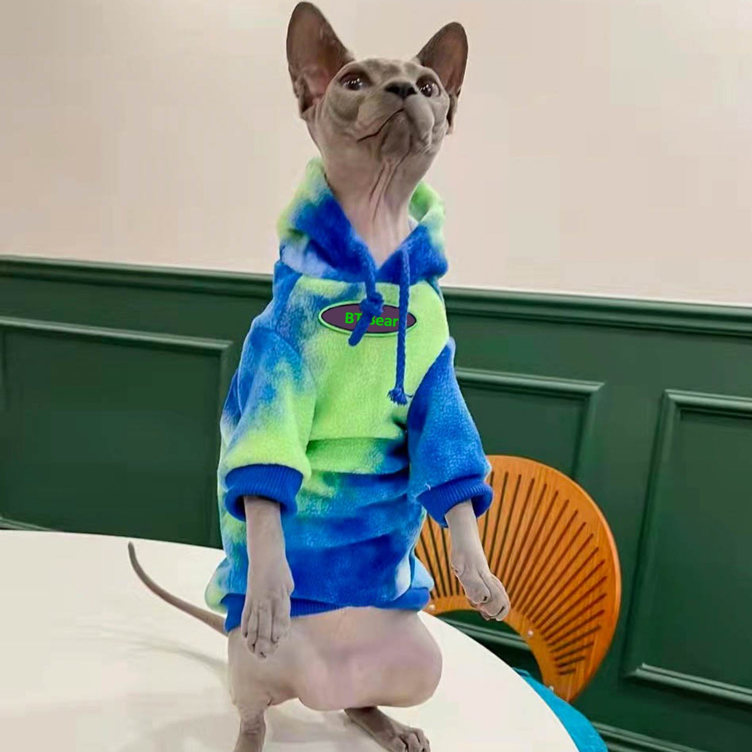 BT Bear Dog Hoodie Sweaters， Dog Winter Clothes， Pet Hooded Sweatershirt Pullover， Dog Outfit Coat Apparel for Small Medium Large Dogs Green XS