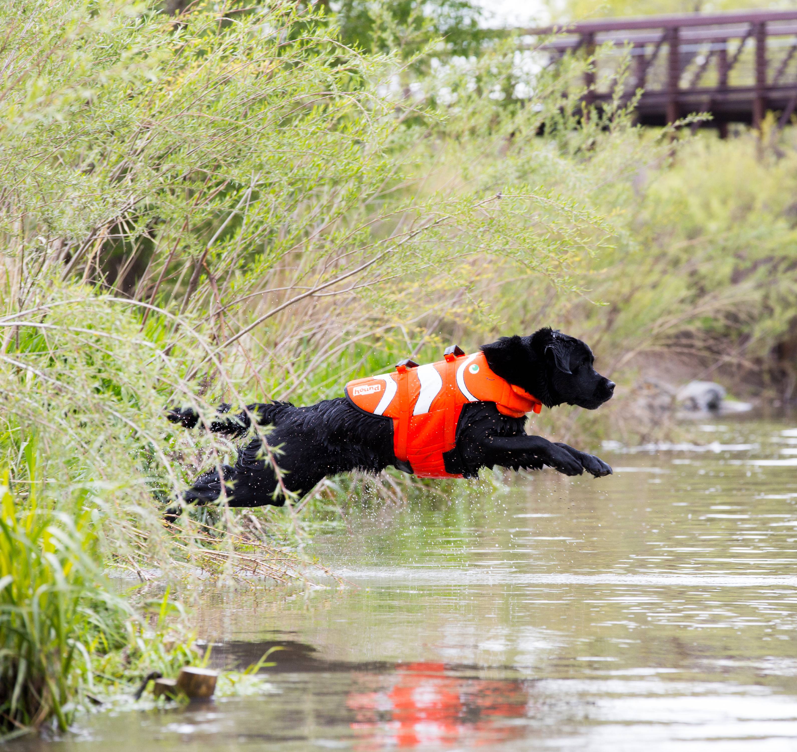 Outward Hound PupSaver Fun Fish Ripstop Dog Life Jacket， Extra-Small， Orange