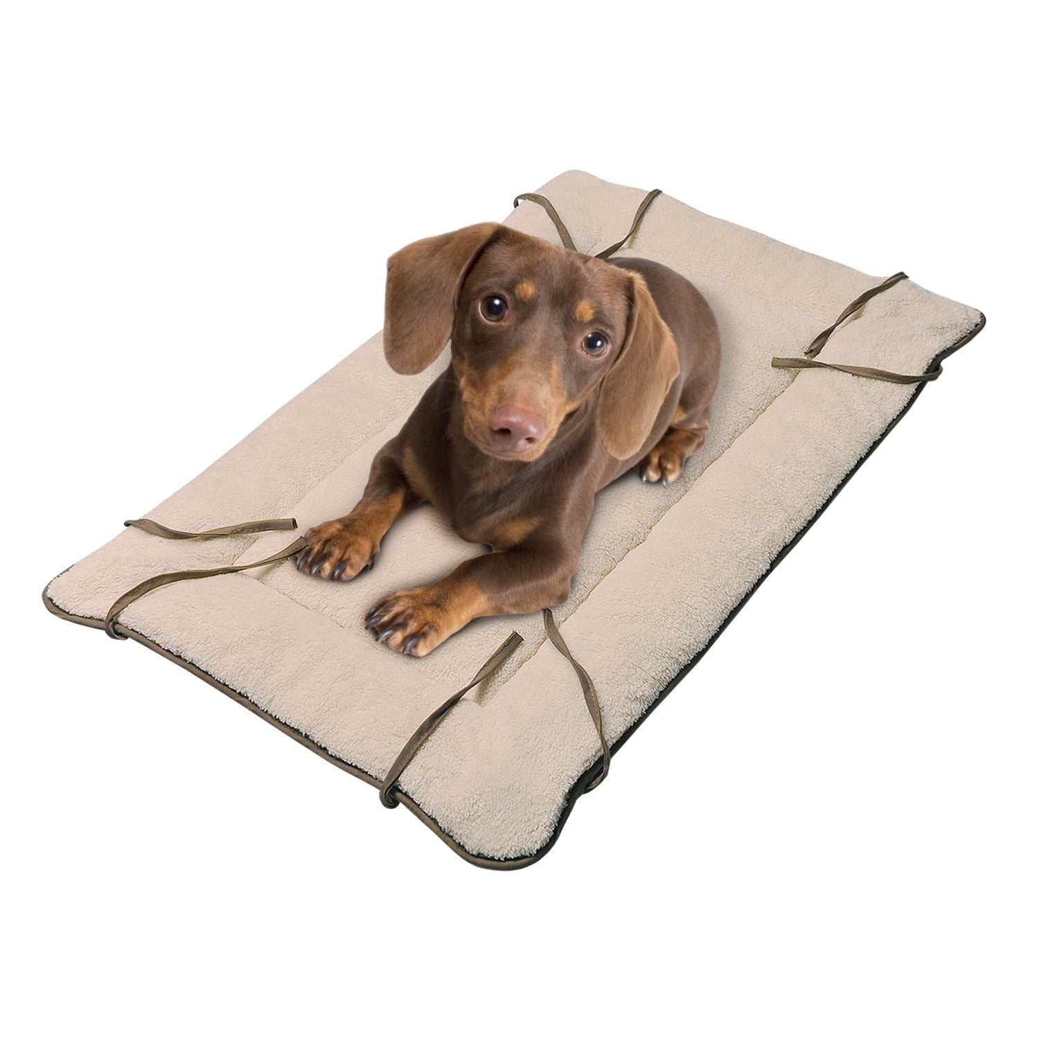 Pawsse Dog Cuddler Bed，Soft Plush Pet Sofa Thick Kennel Cushion Pad Crate Mat Blanket Car Seat Cover for Small Medium Large Dogs Puppy Cats Grey