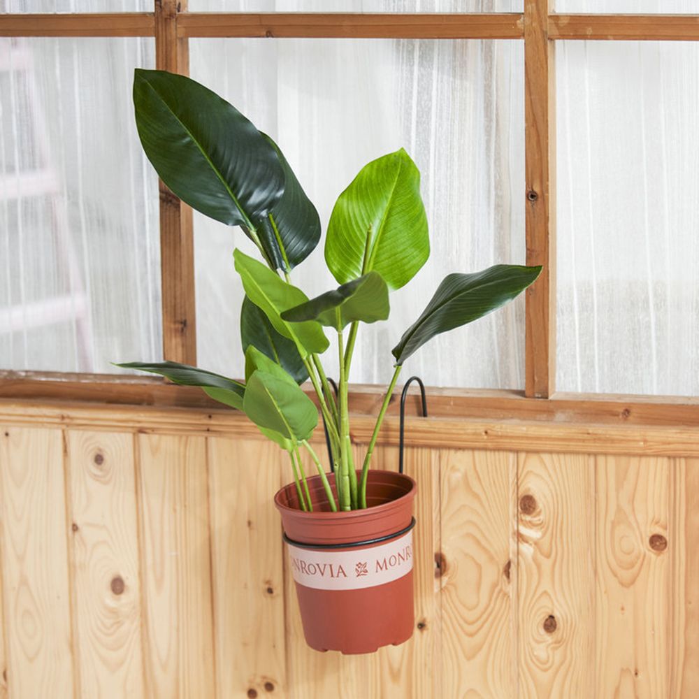 Stylish Railing Metal Office Flower Pot Holder Wall Mounting Planter Pot Stand Planters Rack 15CM