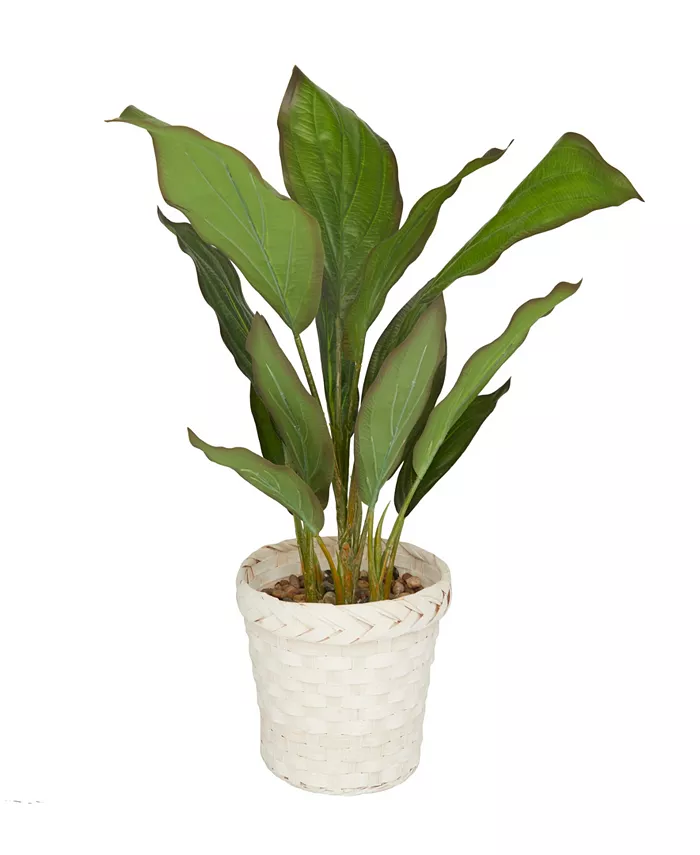 Rosemary Lane Coastal Dieffenbachia Artificial Plant， 24.25