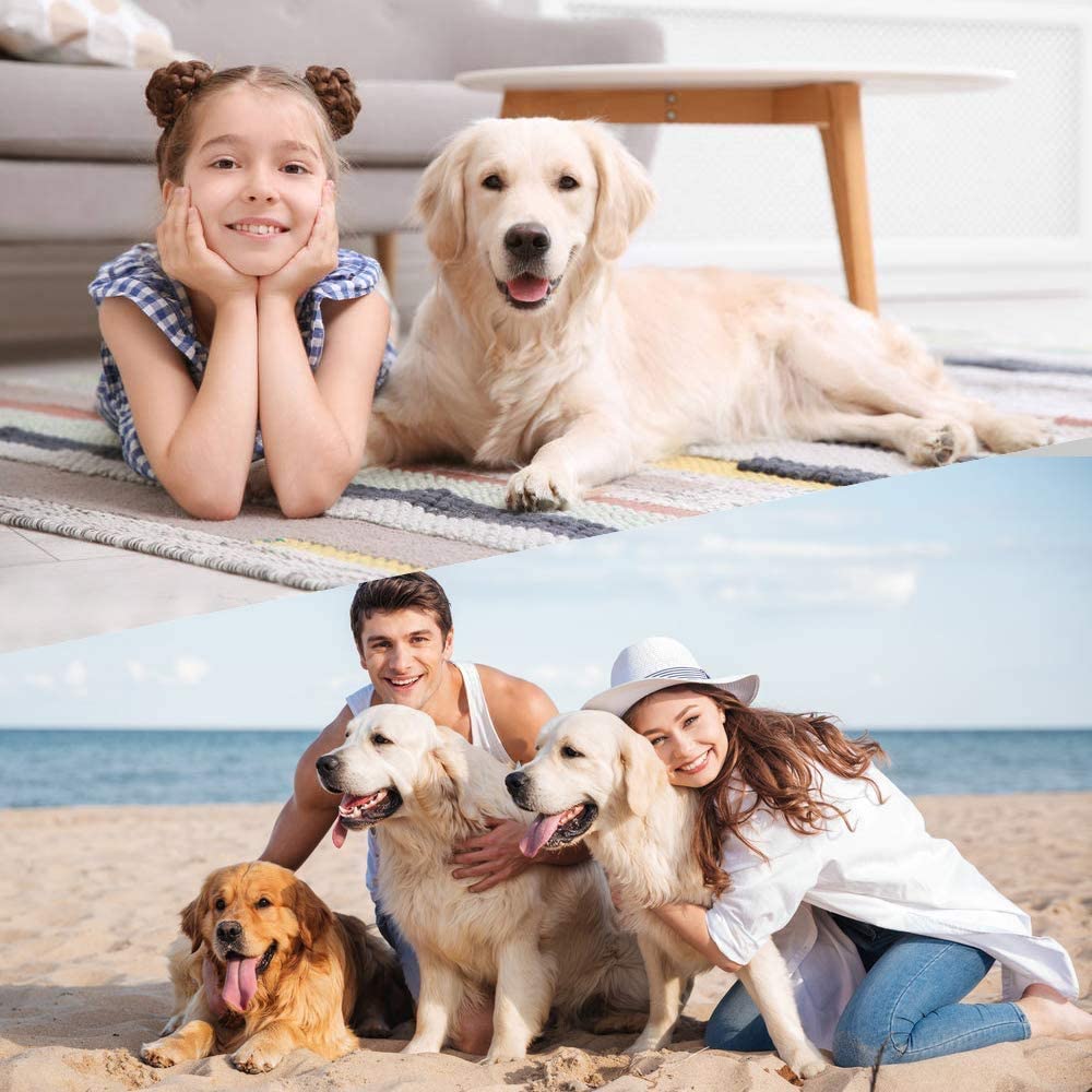 Dkelincs 42 inch Heavy Duty Dog Cage Foldable Dog Crate w/2 DoorsandDivider XL Dog Kennel w/Handle for Medium Puppy