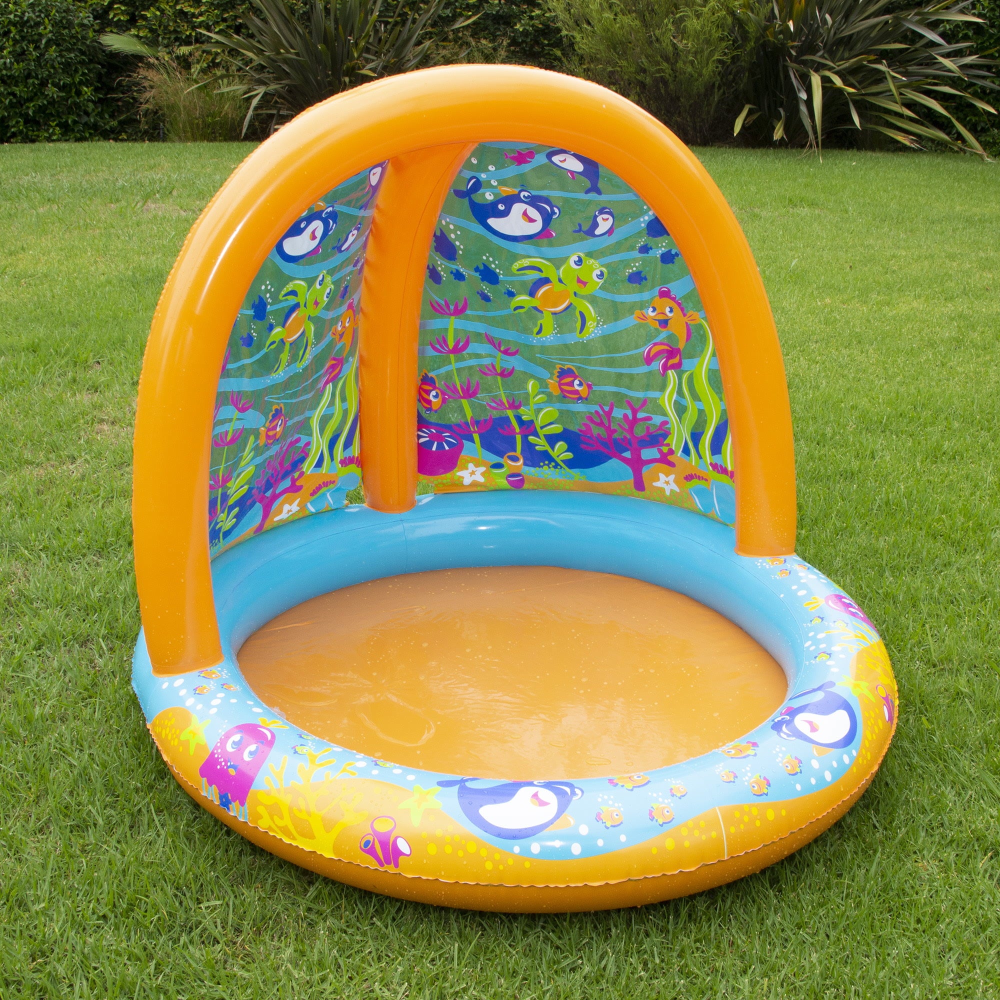 Banzai Jr. Ocean Discovery Toddler Pool， 18 Months and Up