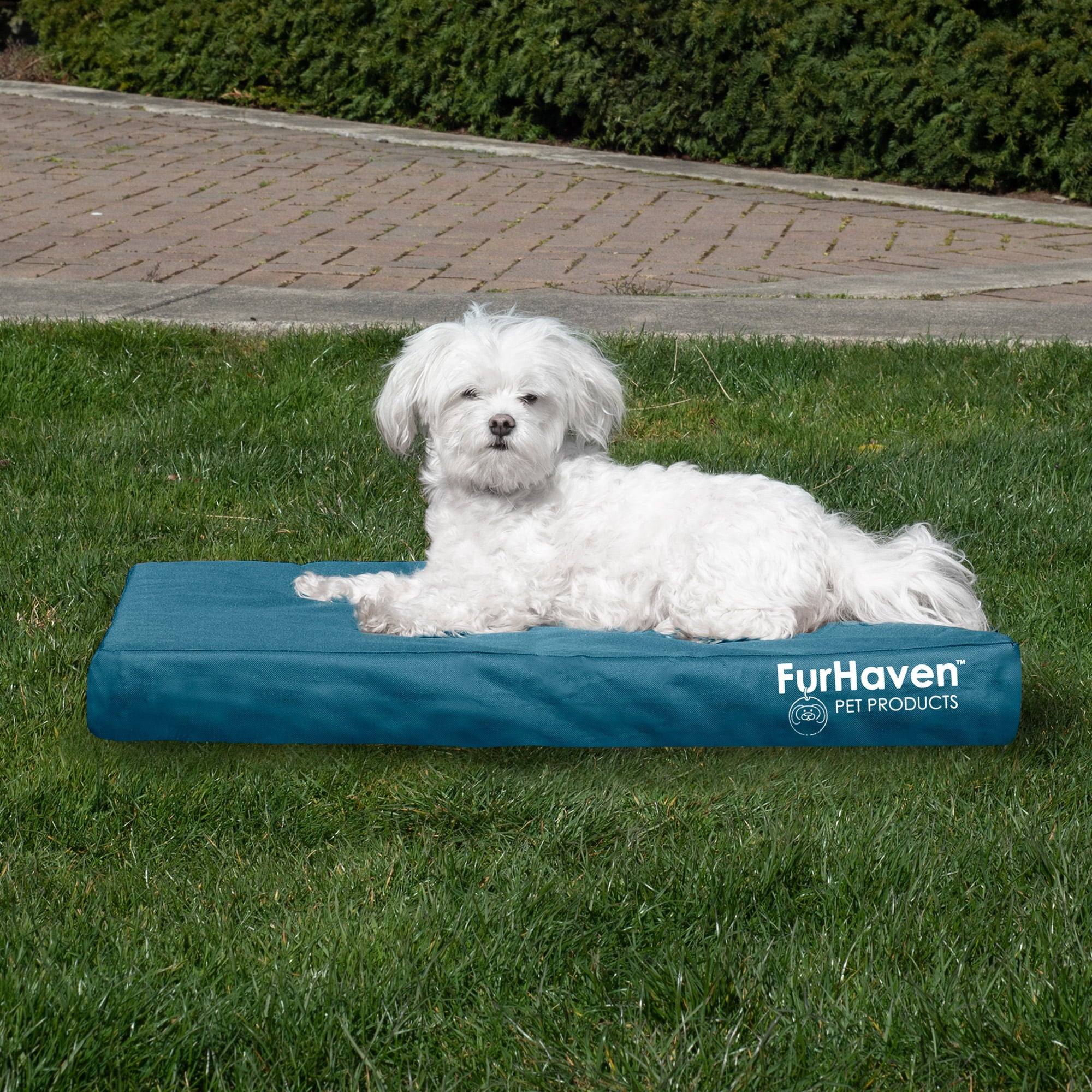 FurHaven | Deluxe Convolute Orthopedic Oxford Indoor/Outdoor Water-Resistant Pet Bed for Dogs and Cats， Deep Lagoon， Medium